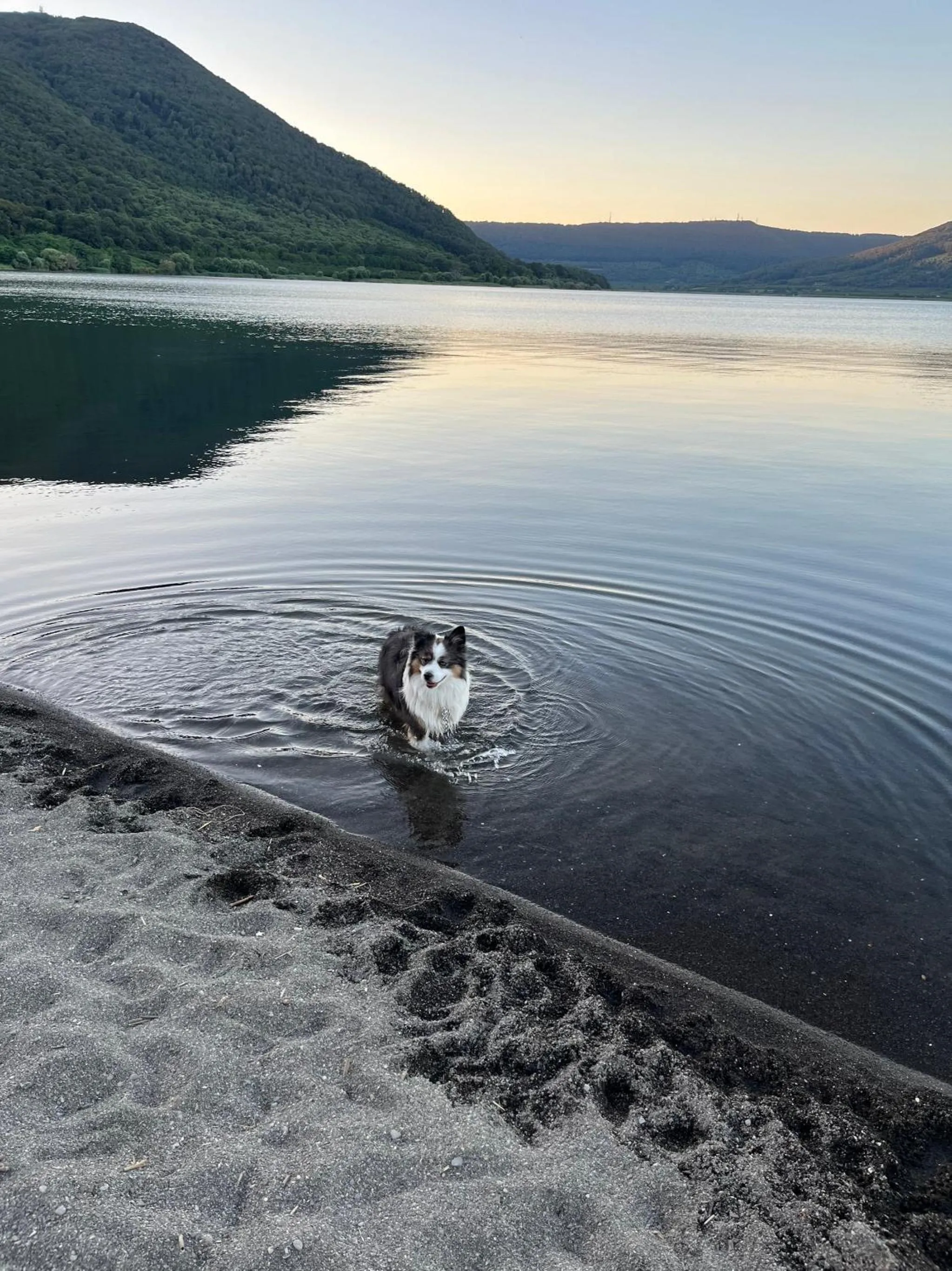 SOHO Piaggiarelle by Dasso - Guest House