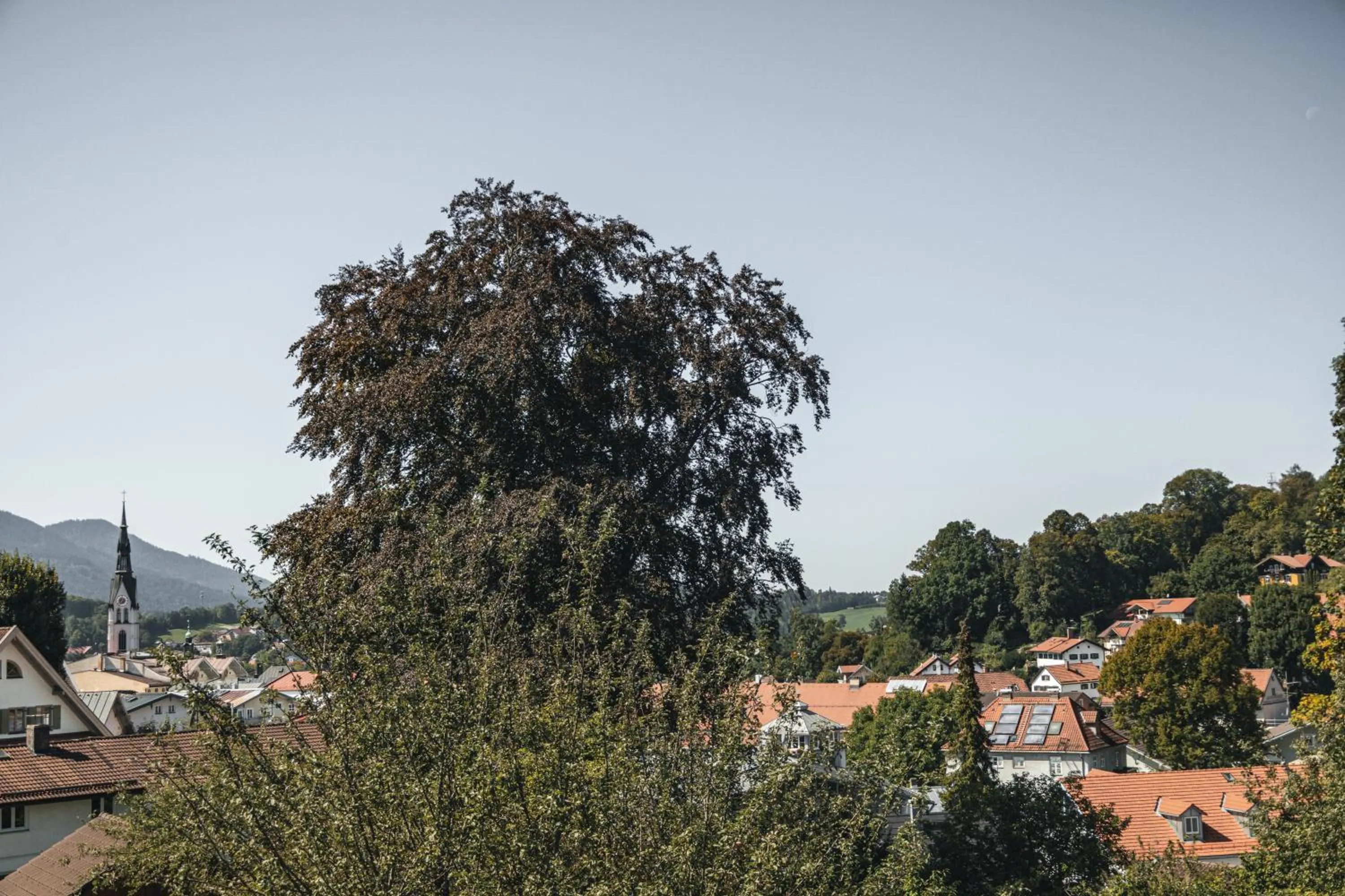 View (from property/room) in Suiten Zantl