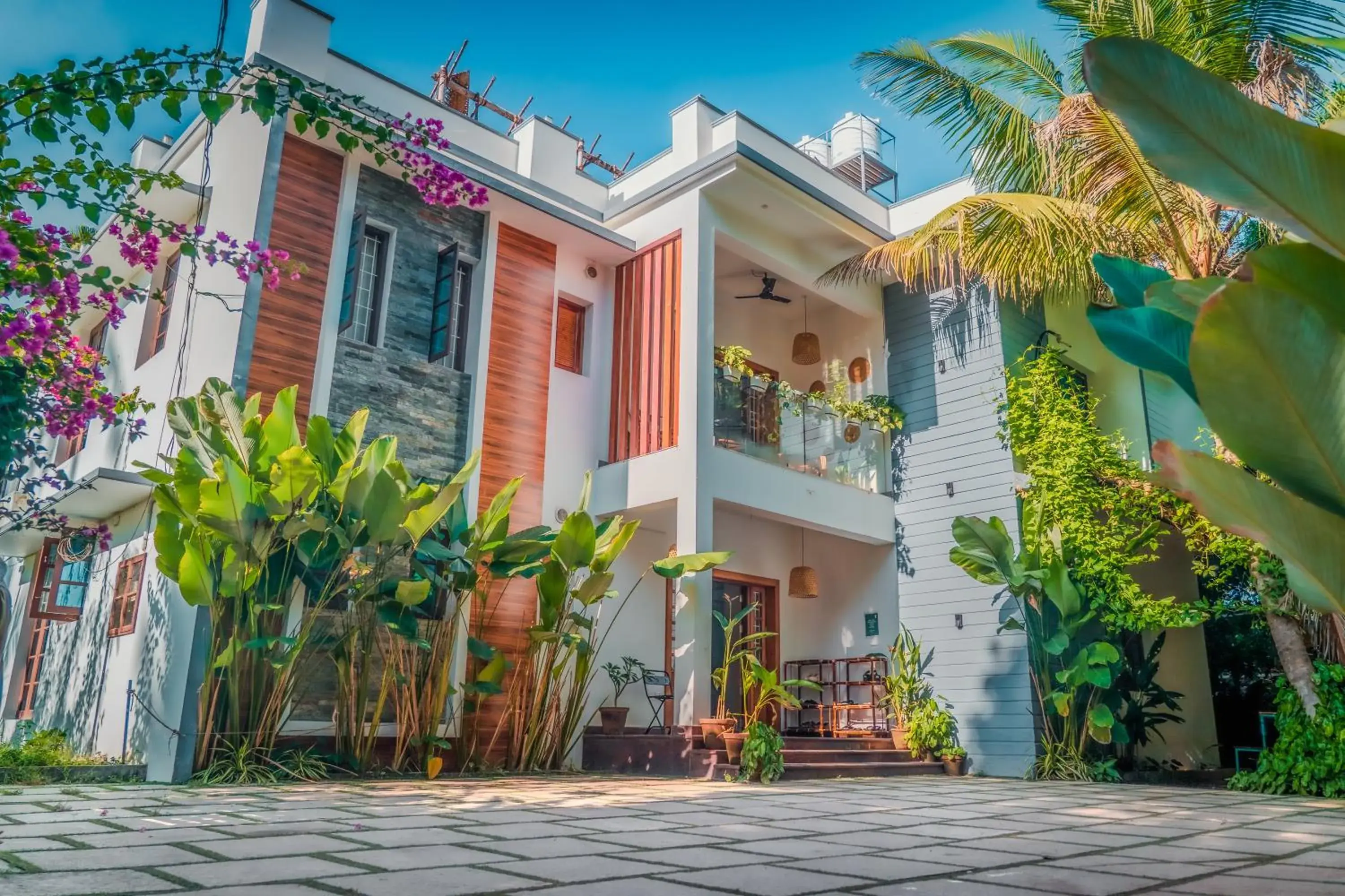 Native by Cliff and Coral Native by Cliff and Coral