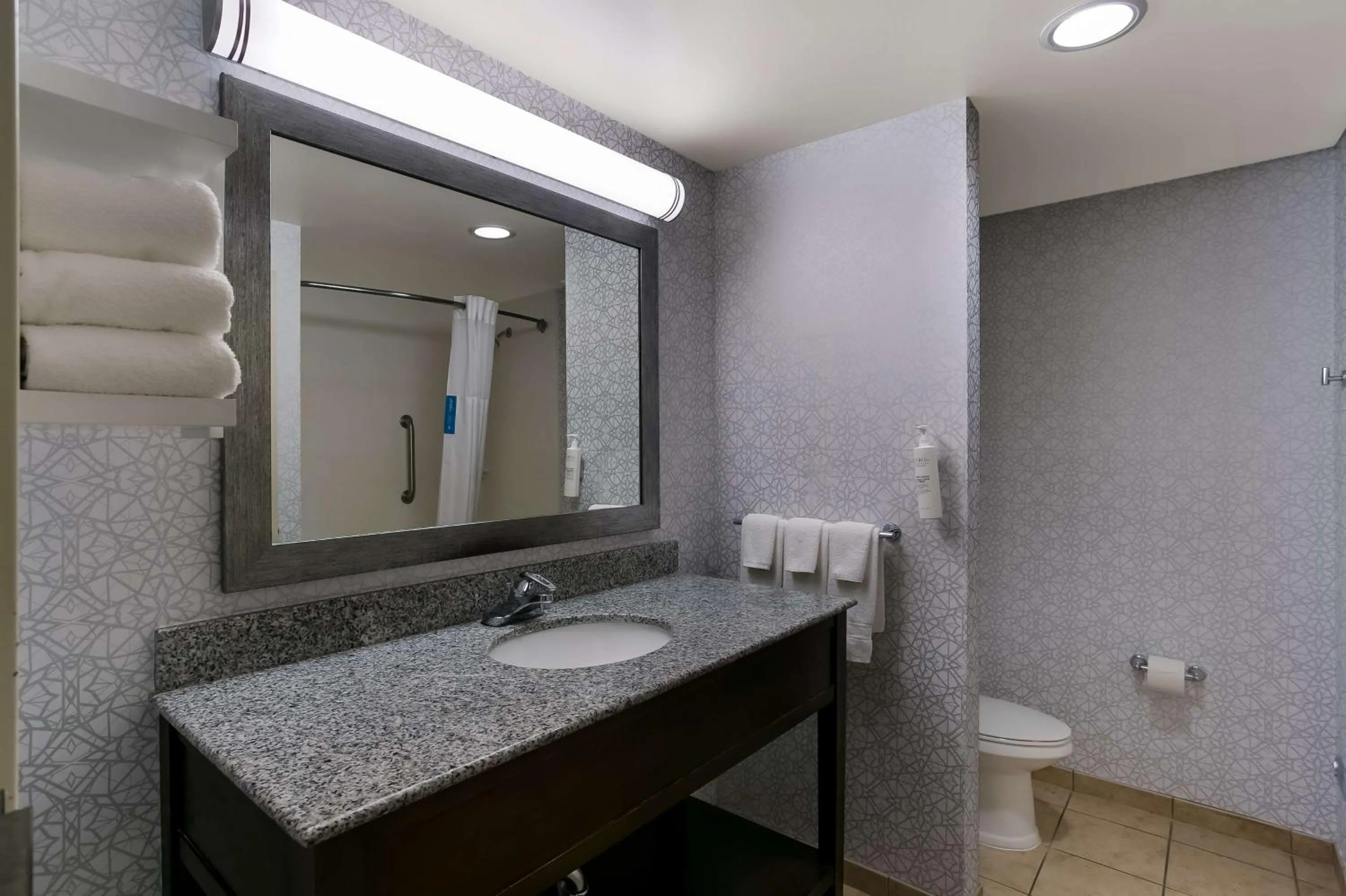 Bathroom in Hampton Inn & Suites Wilmington Christiana