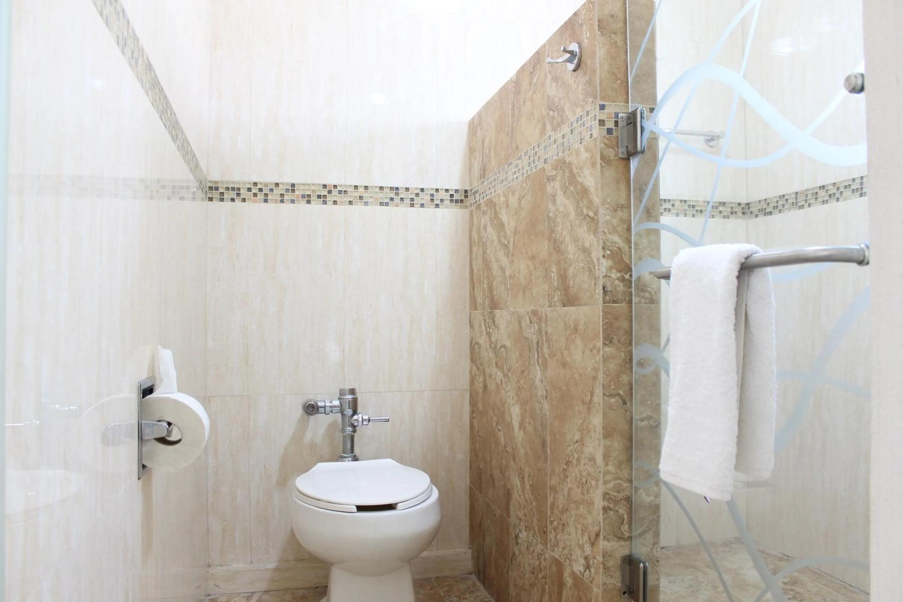 Toilet in Hotel Flamingo Irapuato