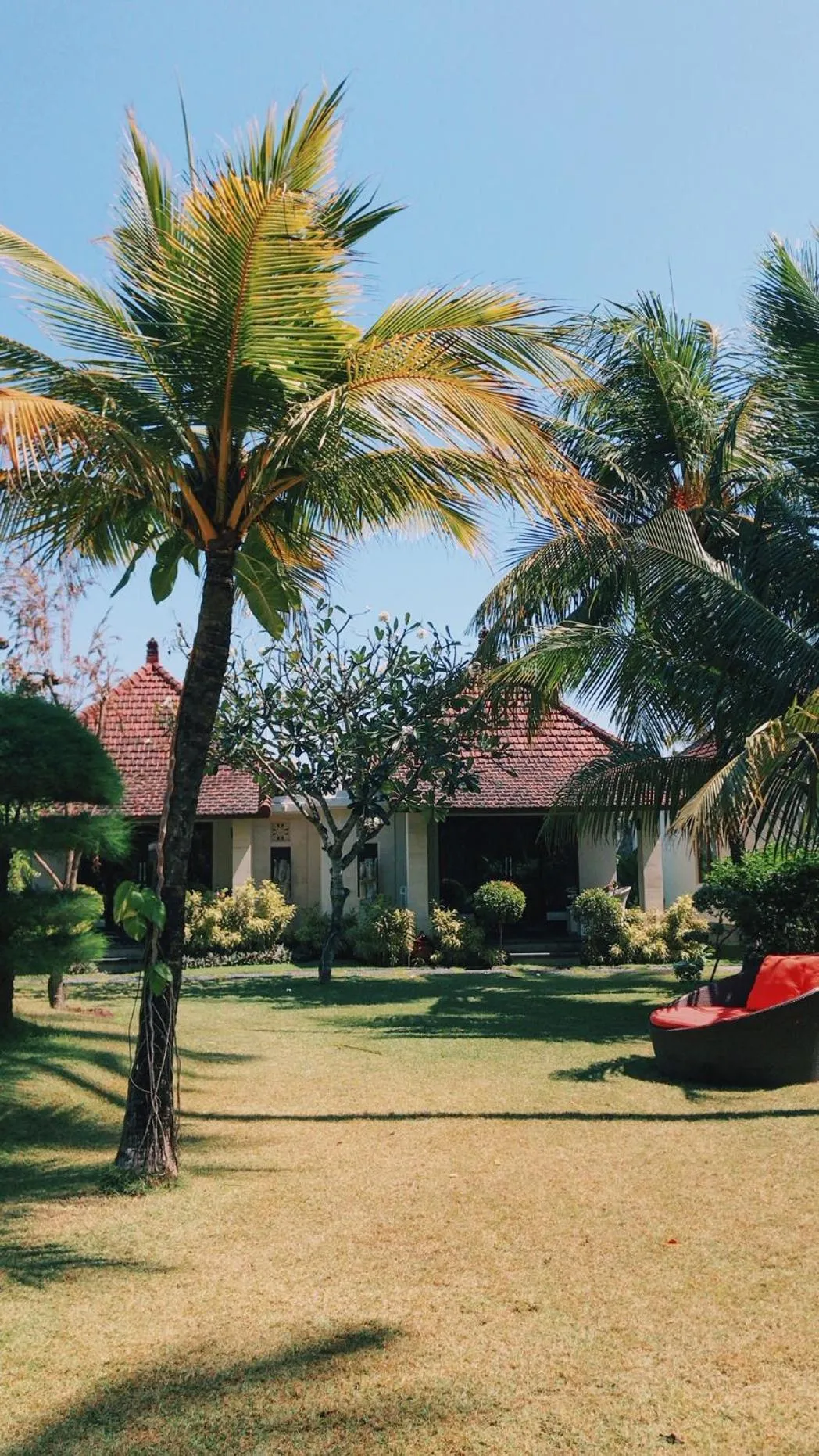 Garden in Puri Rinjani Bungalows & Hostel