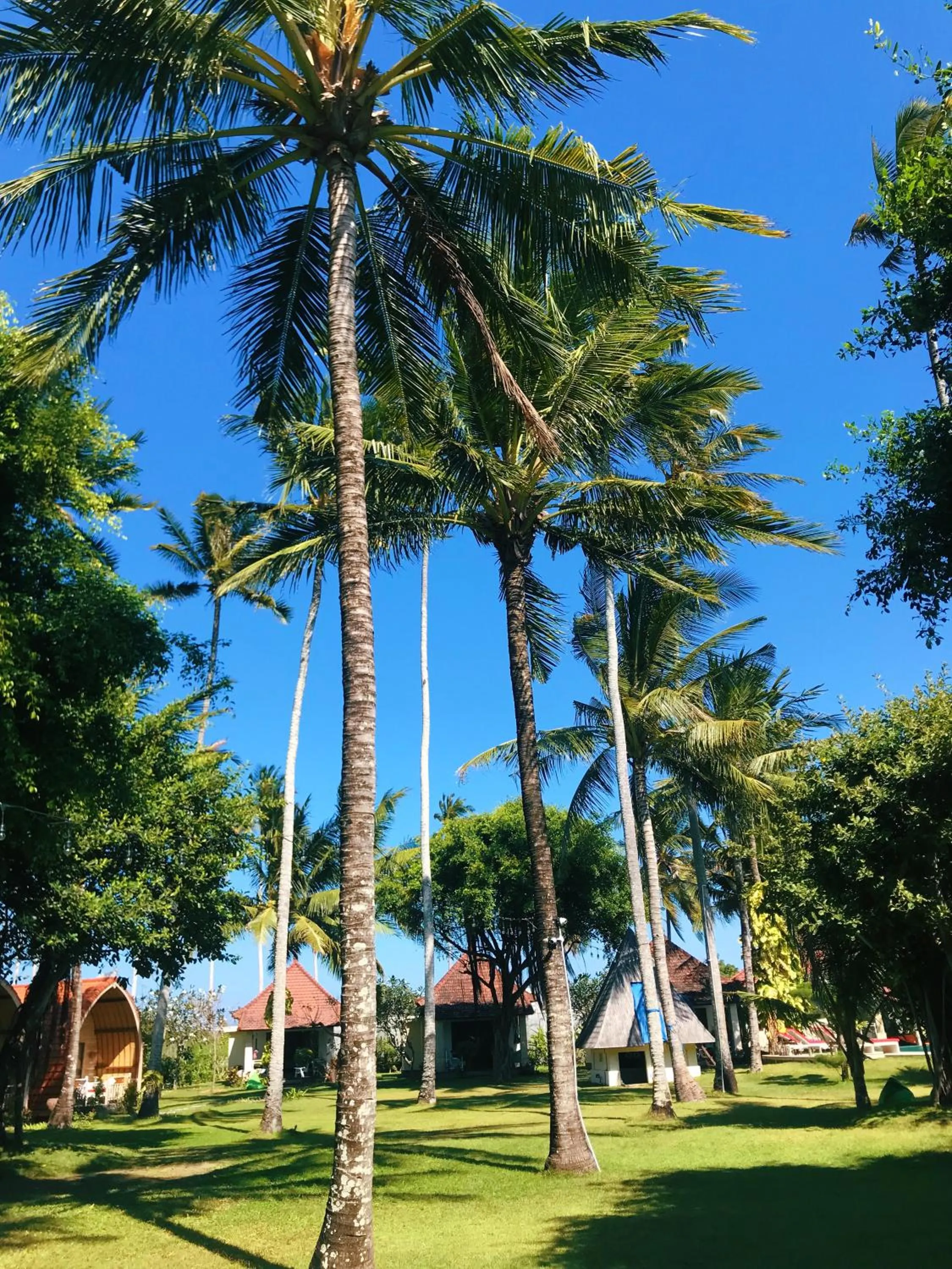 Garden in Puri Rinjani Bungalows & Hostel