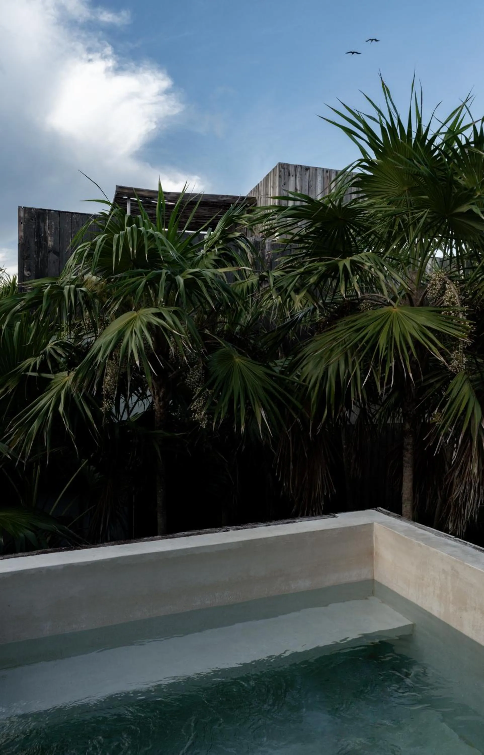 Natural landscape in UMi Tulum