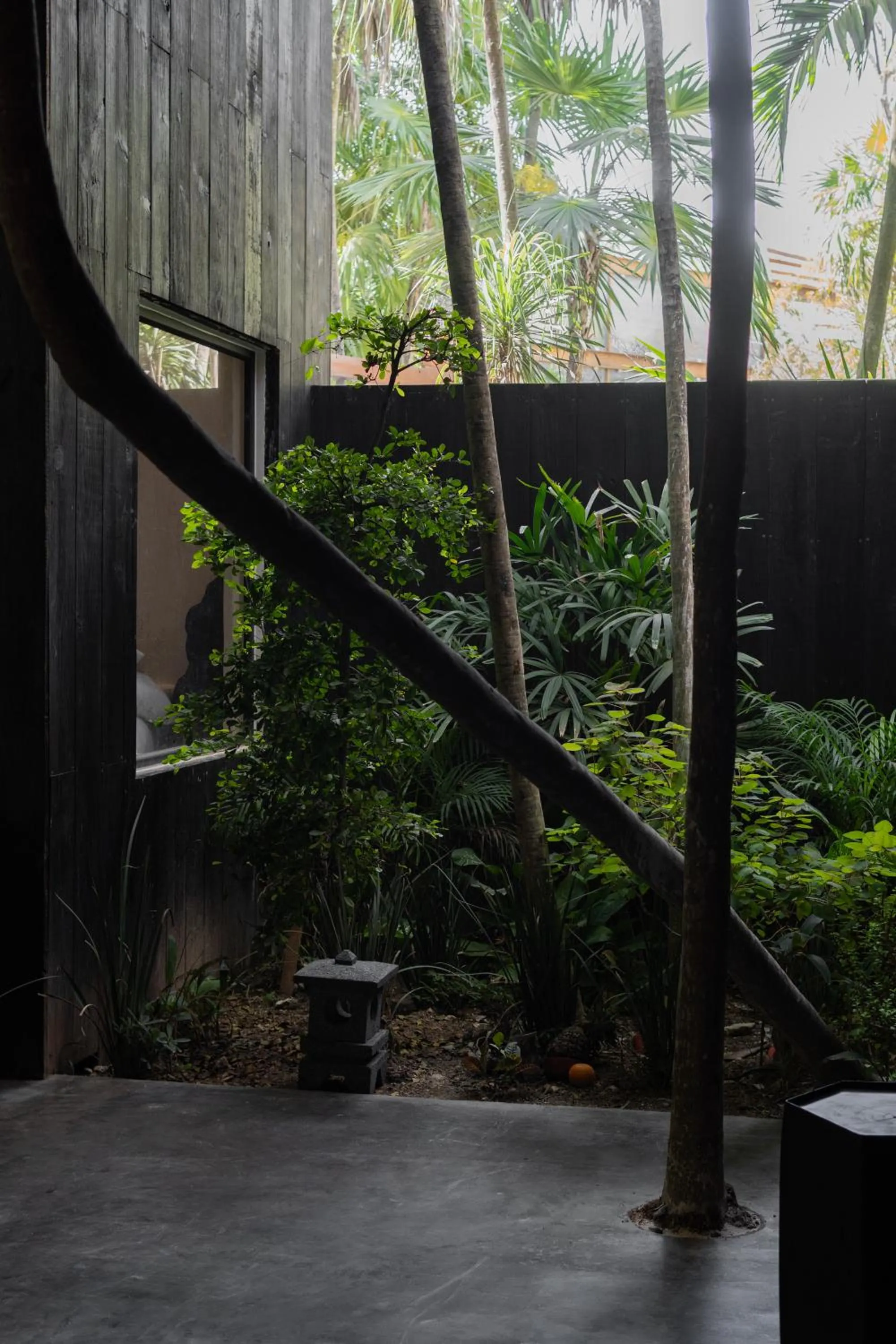 Property building in UMi Tulum