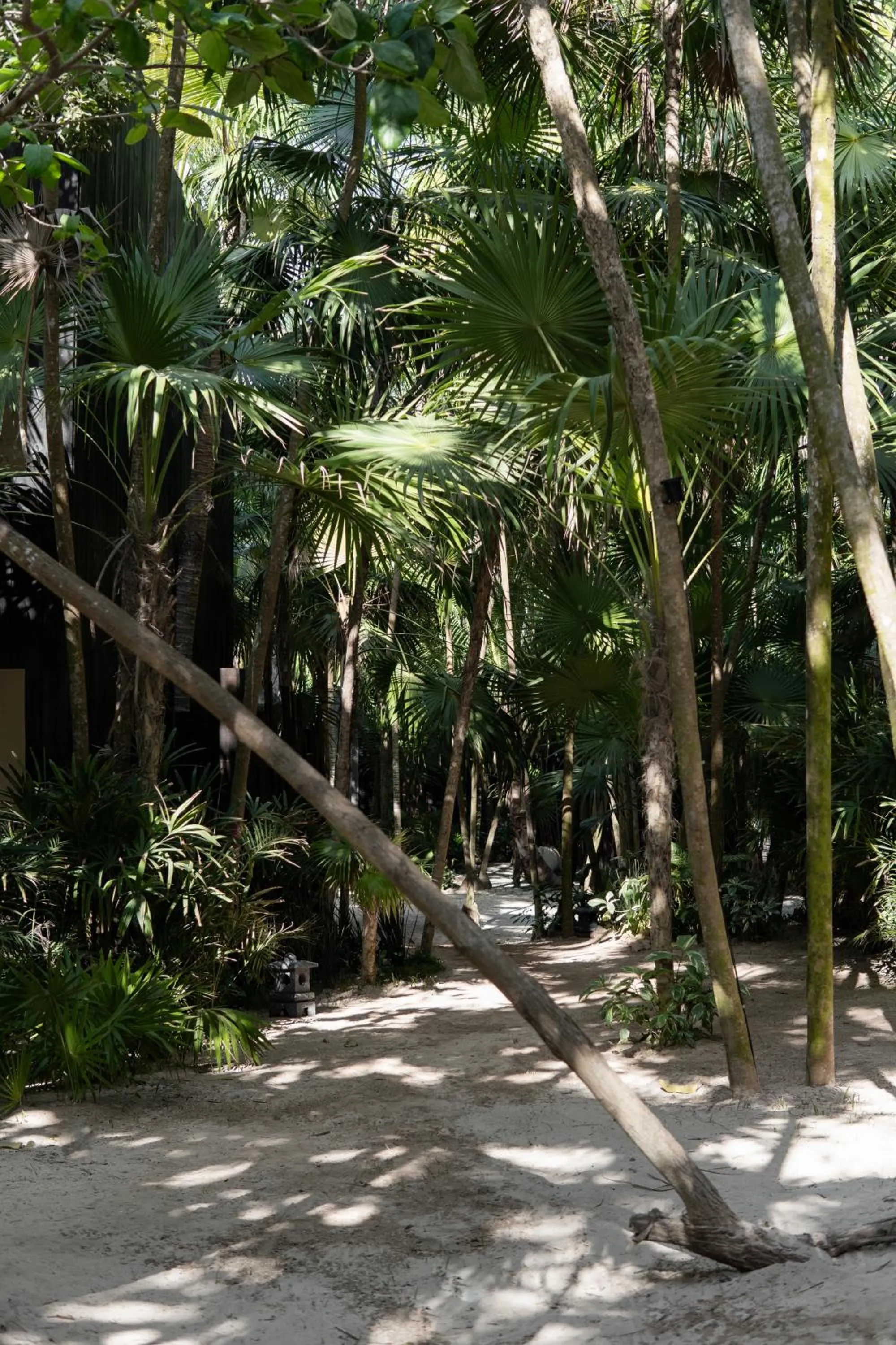 Natural landscape in UMi Tulum