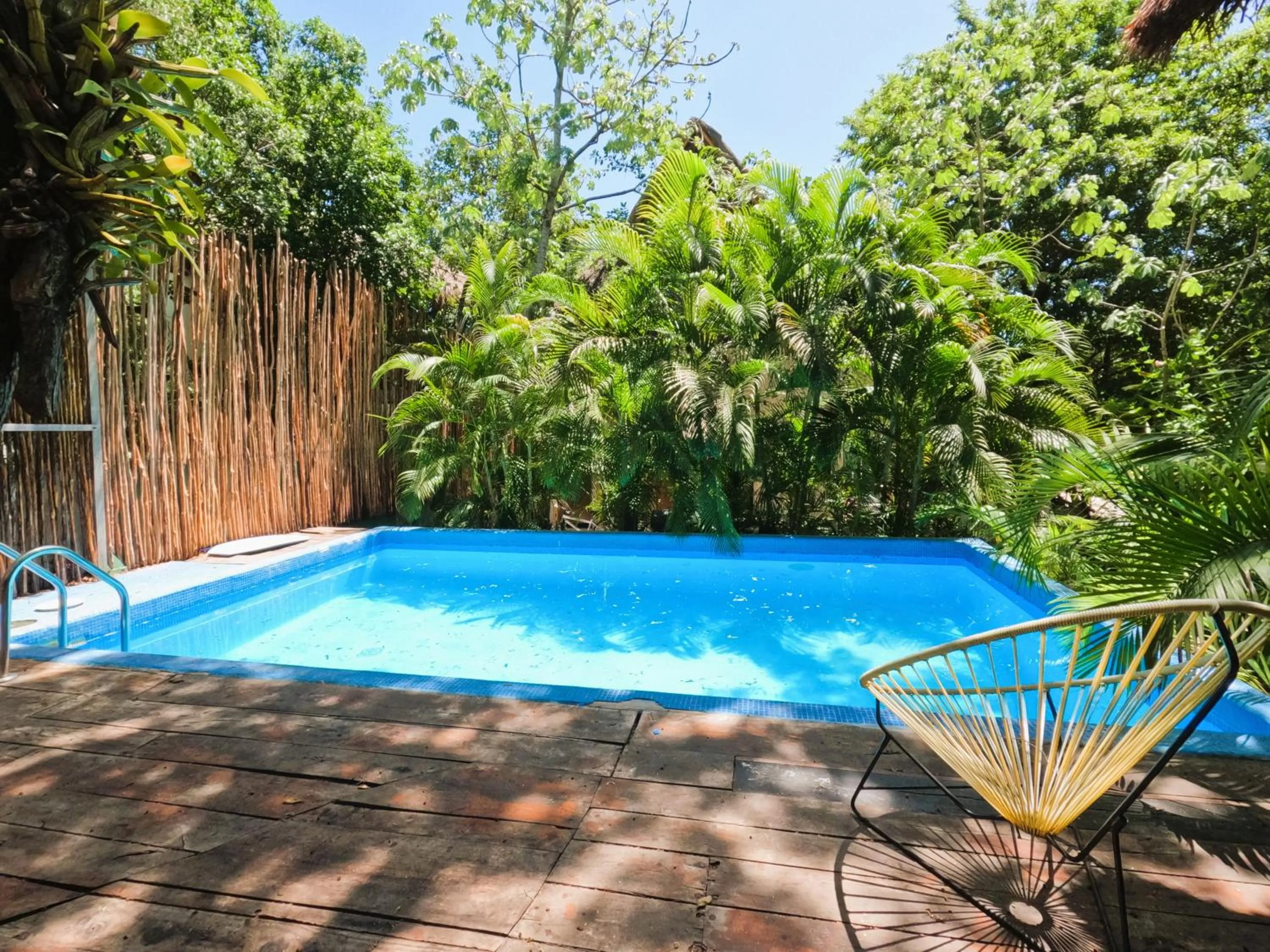 Lounge or bar in Maui Hostels Tulum