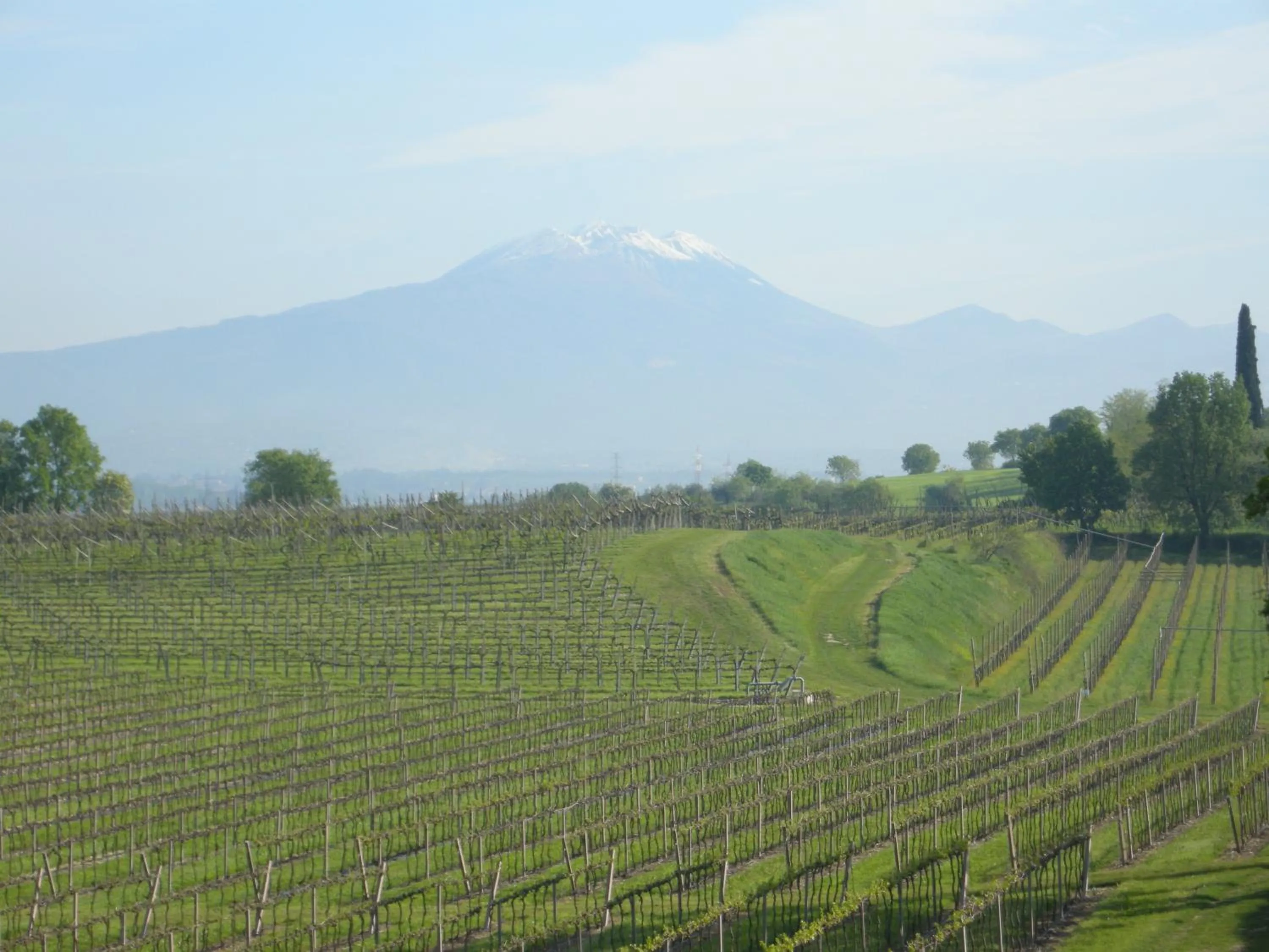 Mountain view in I Vigneti Bed & Breakfast