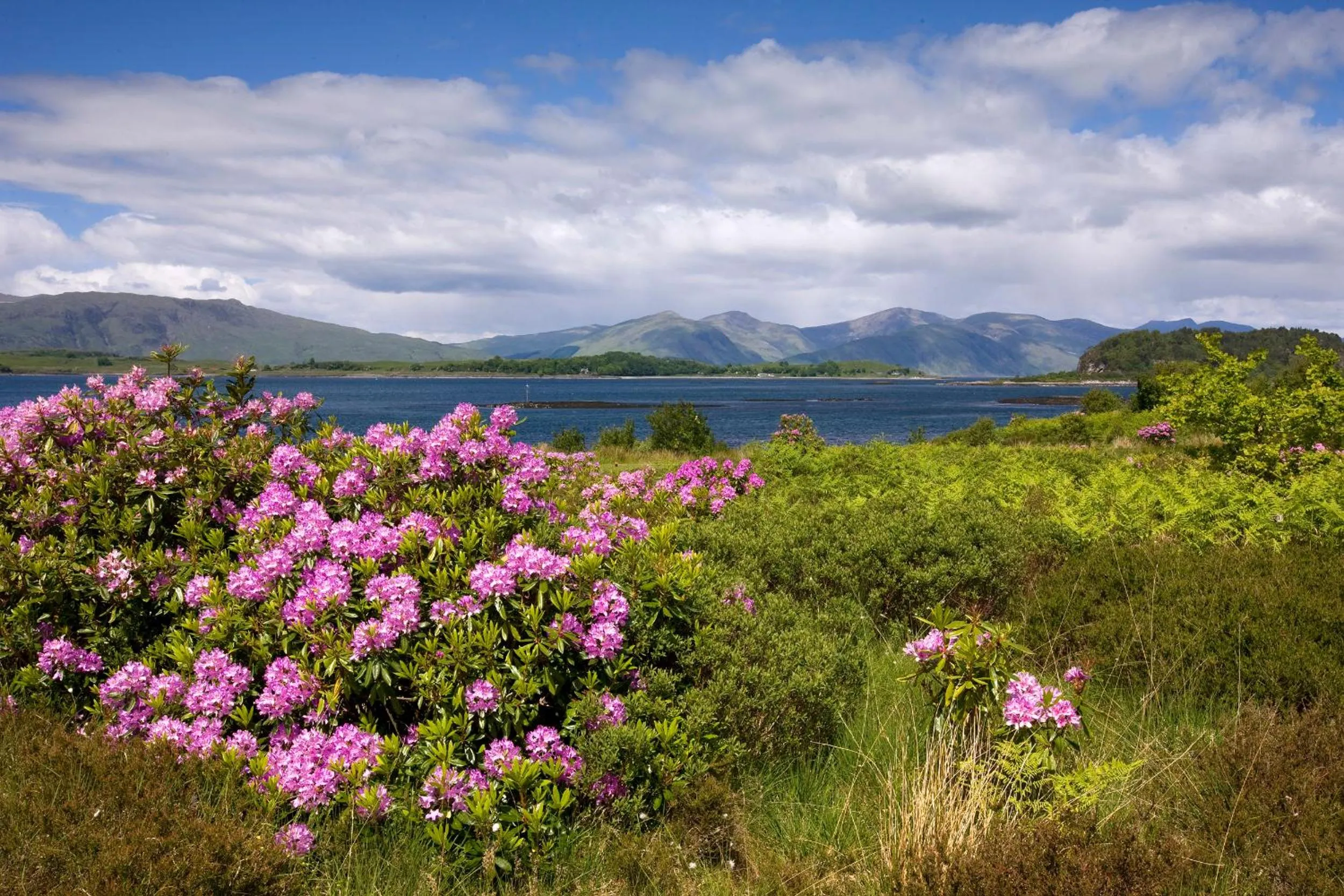 Natural landscape in Isle of Eriska Hotel Spa & Island