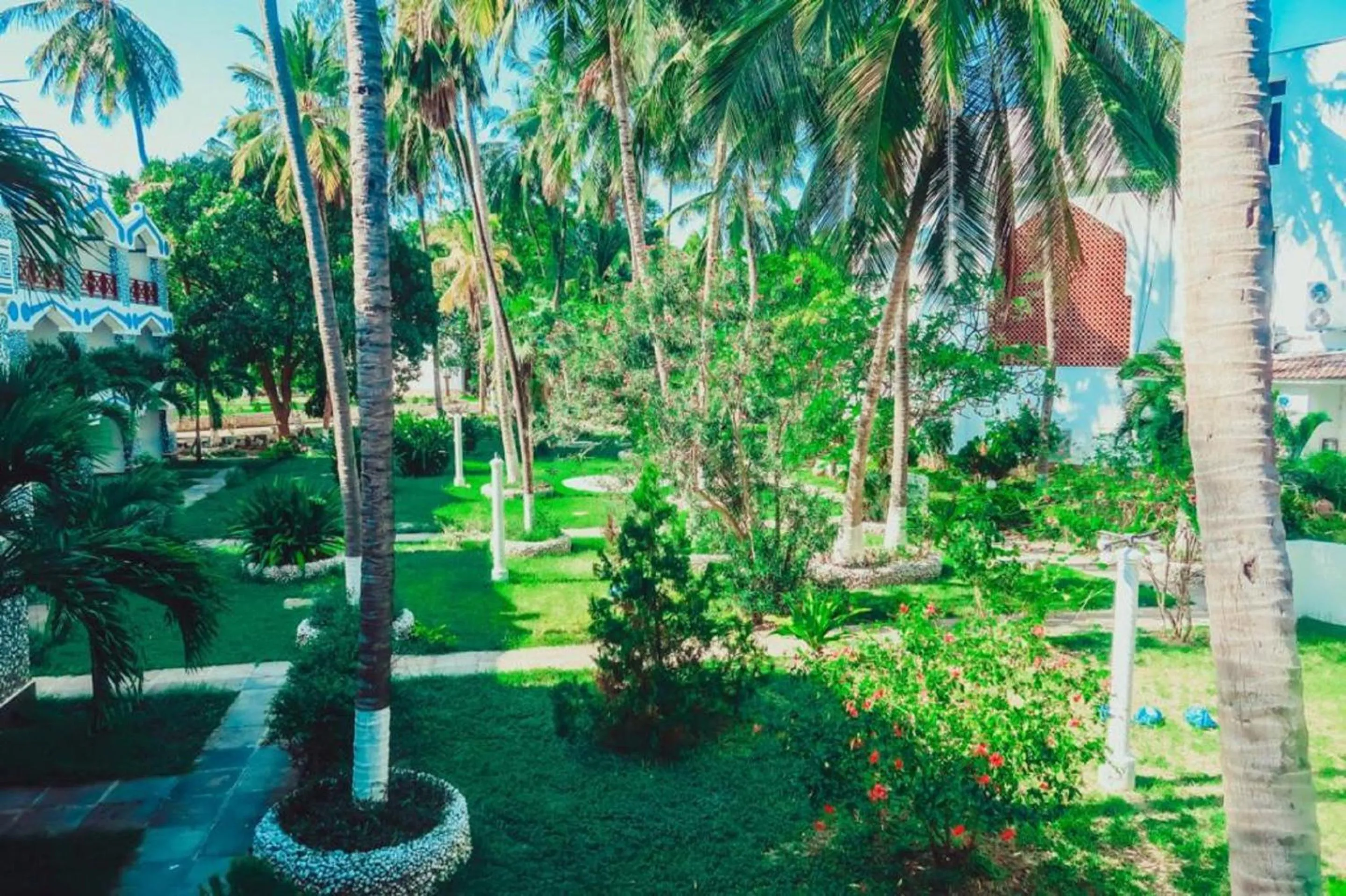 Garden in Sai Rock Beach Hotel & Spa