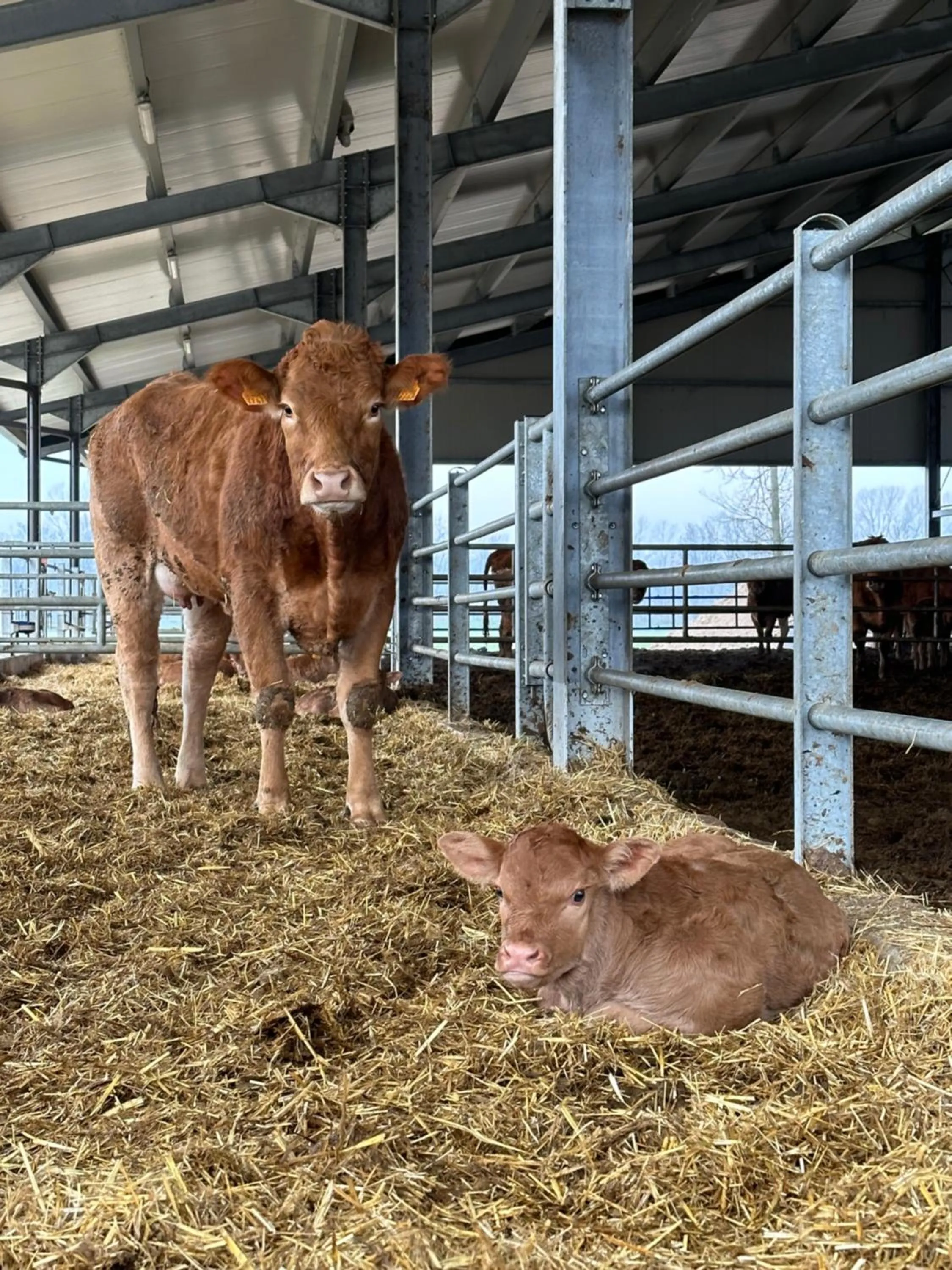 Agriturismo La Galizia