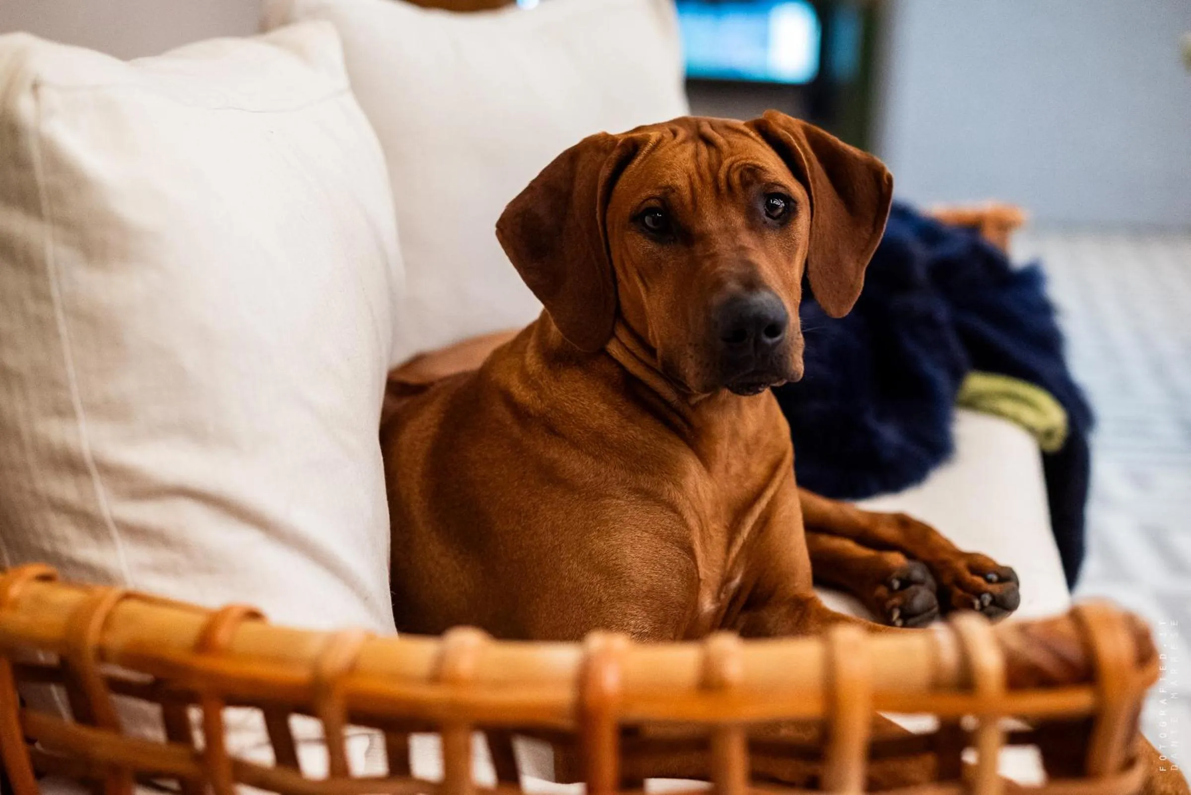 Agriturismo La Galizia