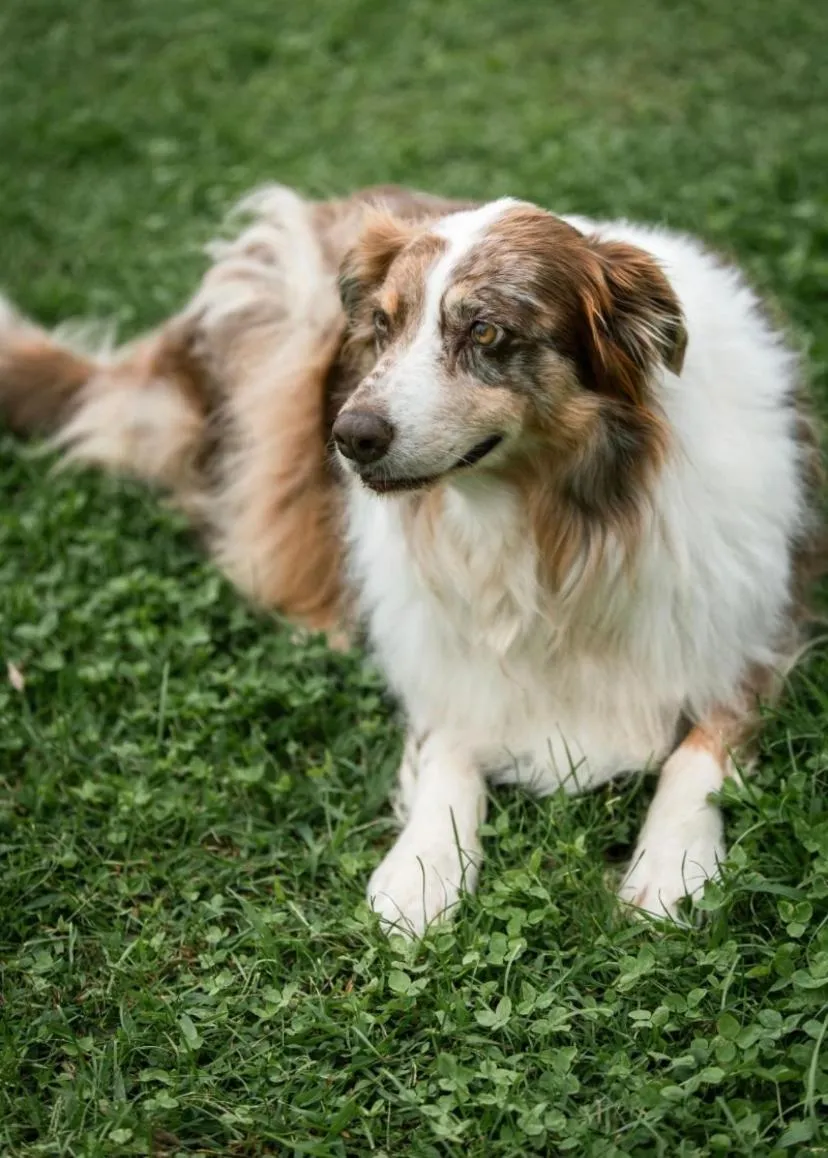 Agriturismo La Galizia