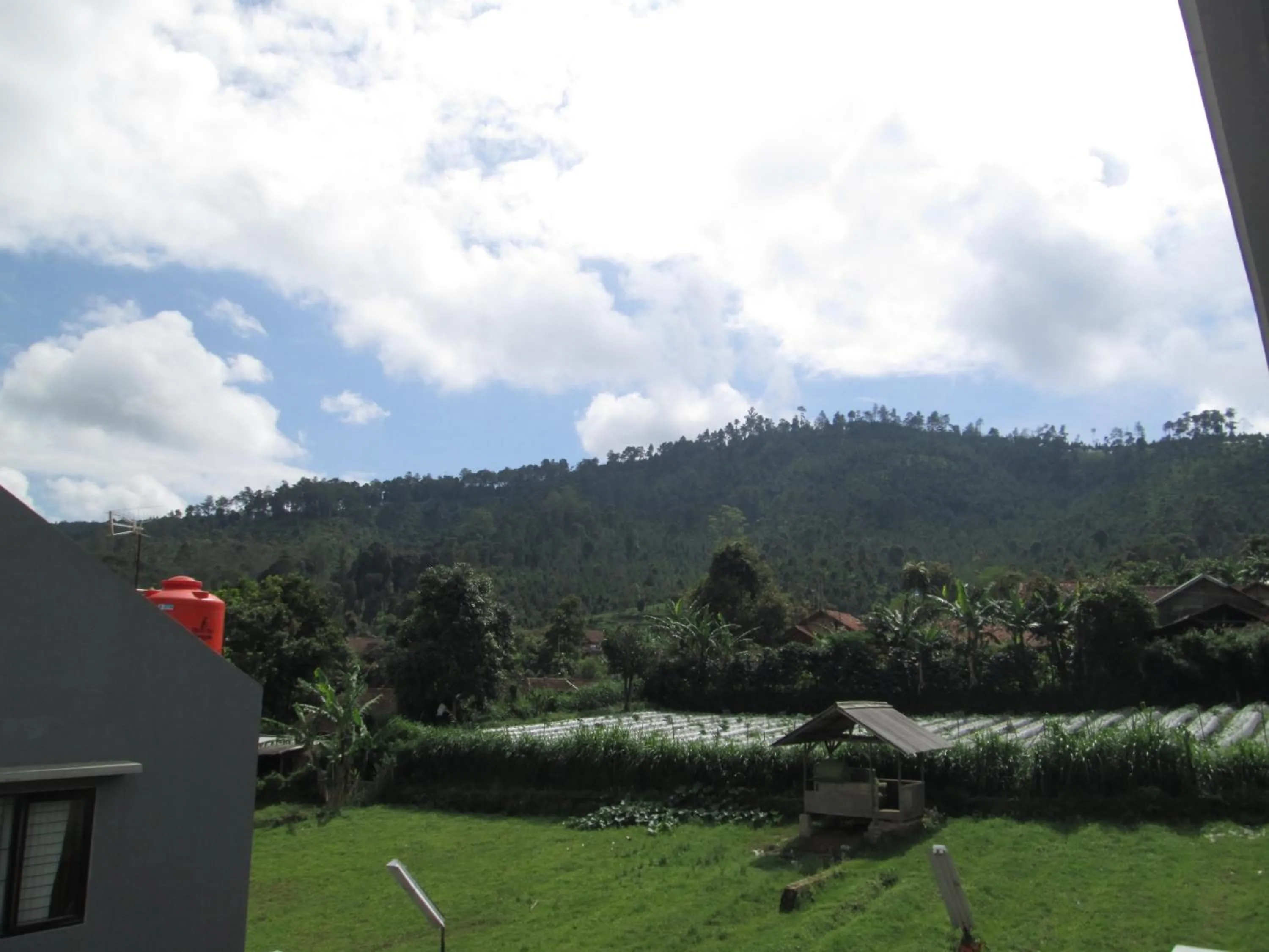 View (from property/room) in Osmond Villa Resort