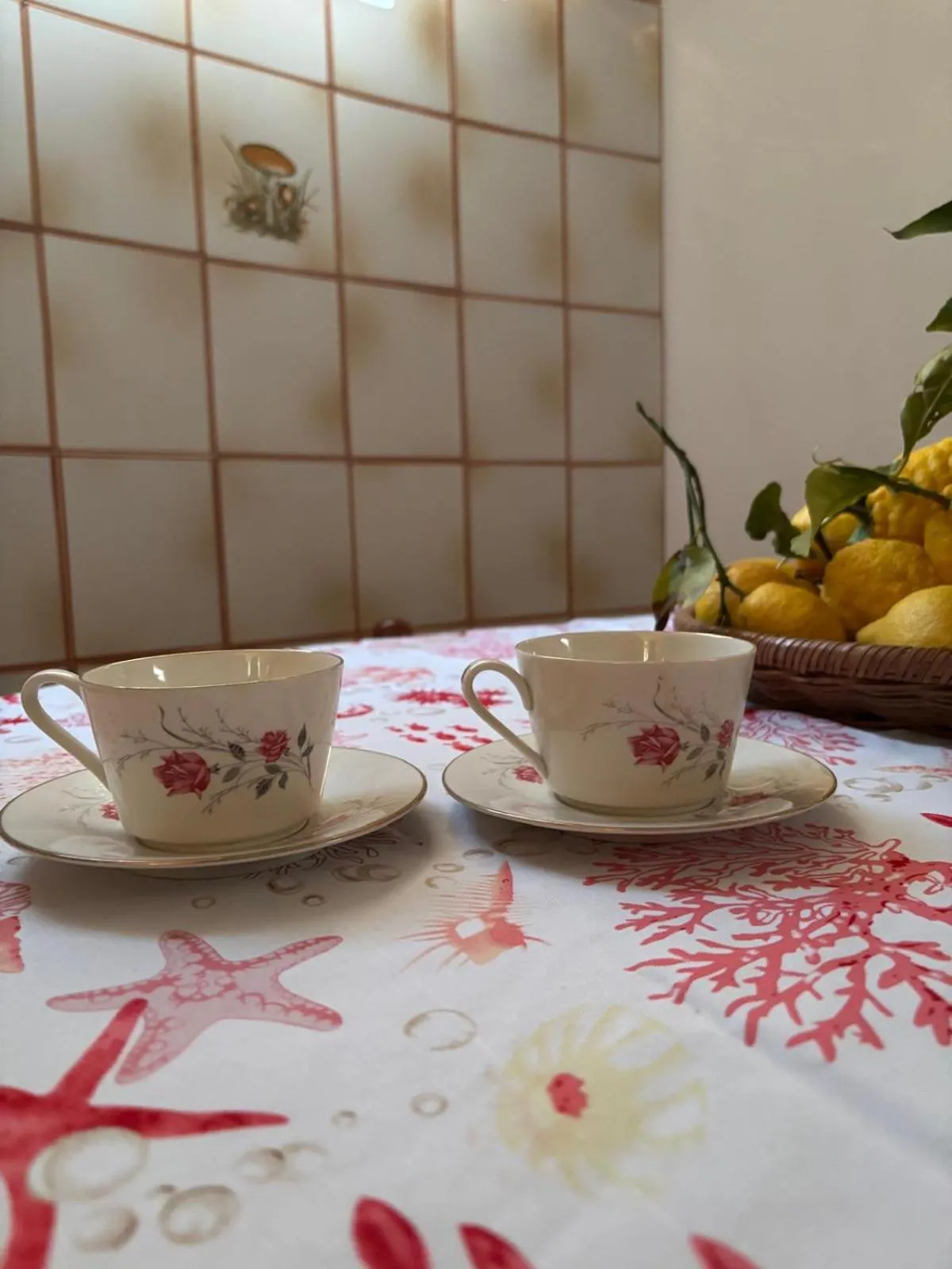 A cas e Rosa