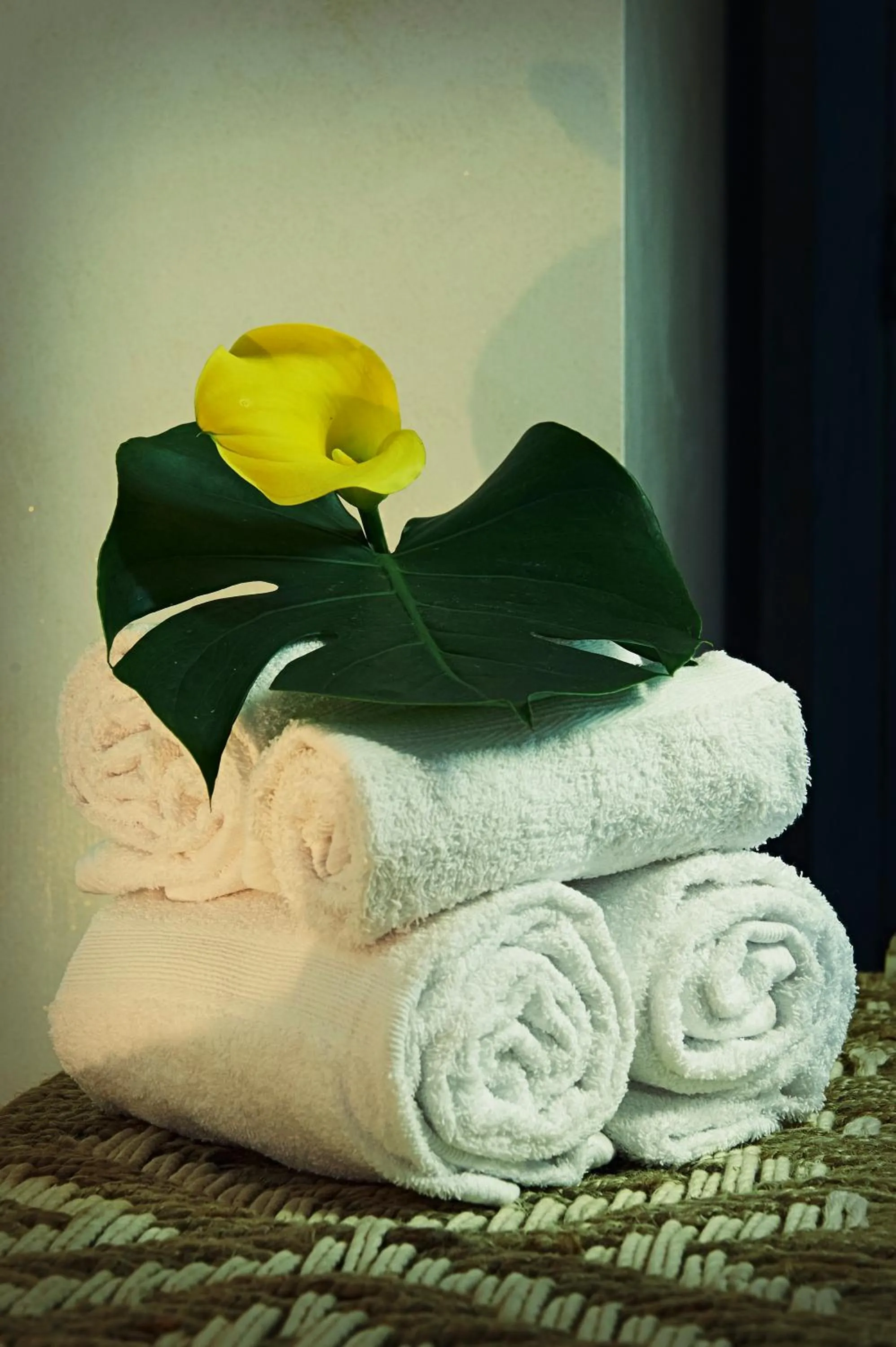 Spa and wellness centre/facilities in Aleksandr