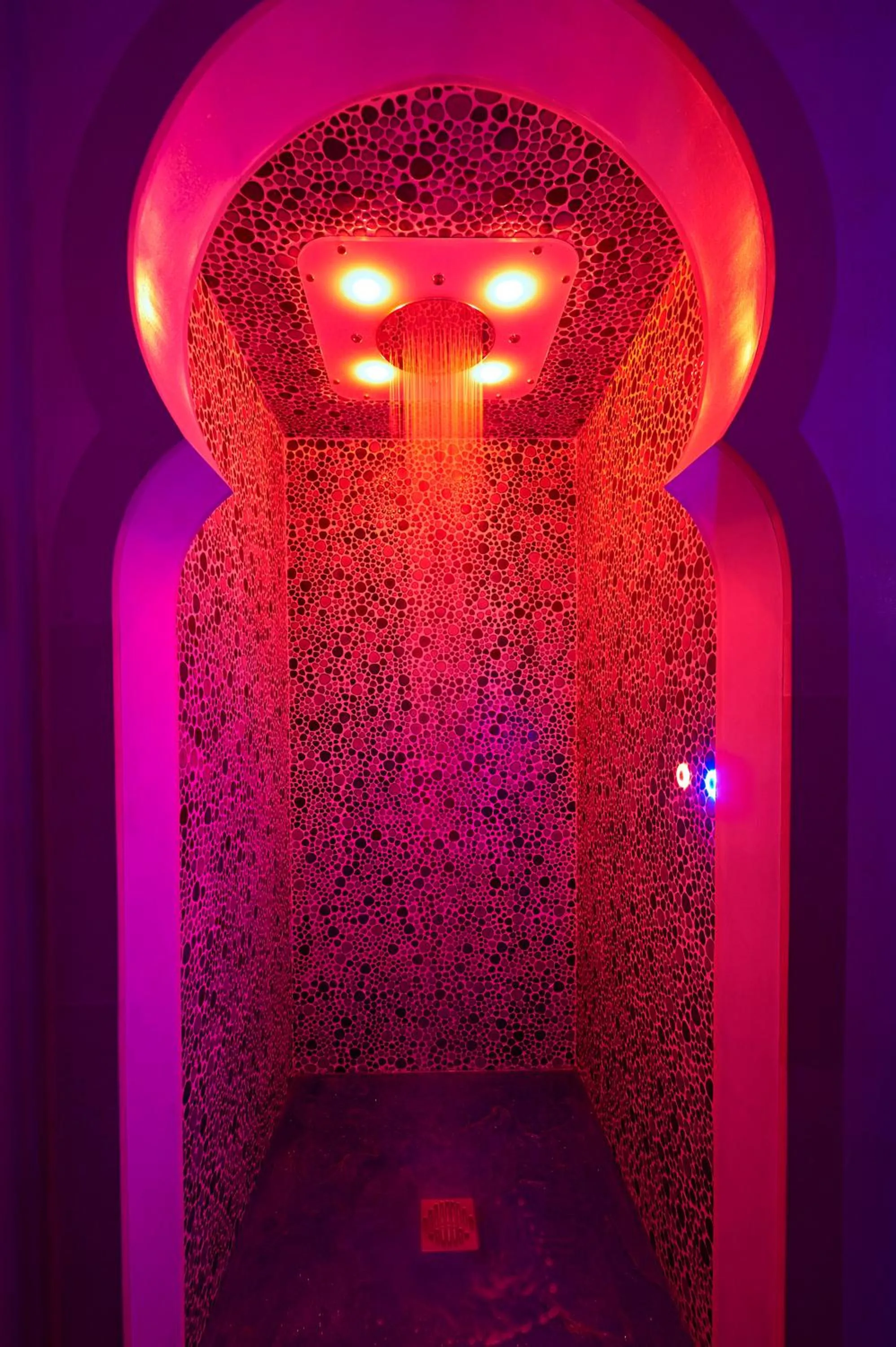 Spa and wellness centre/facilities in Aleksandr