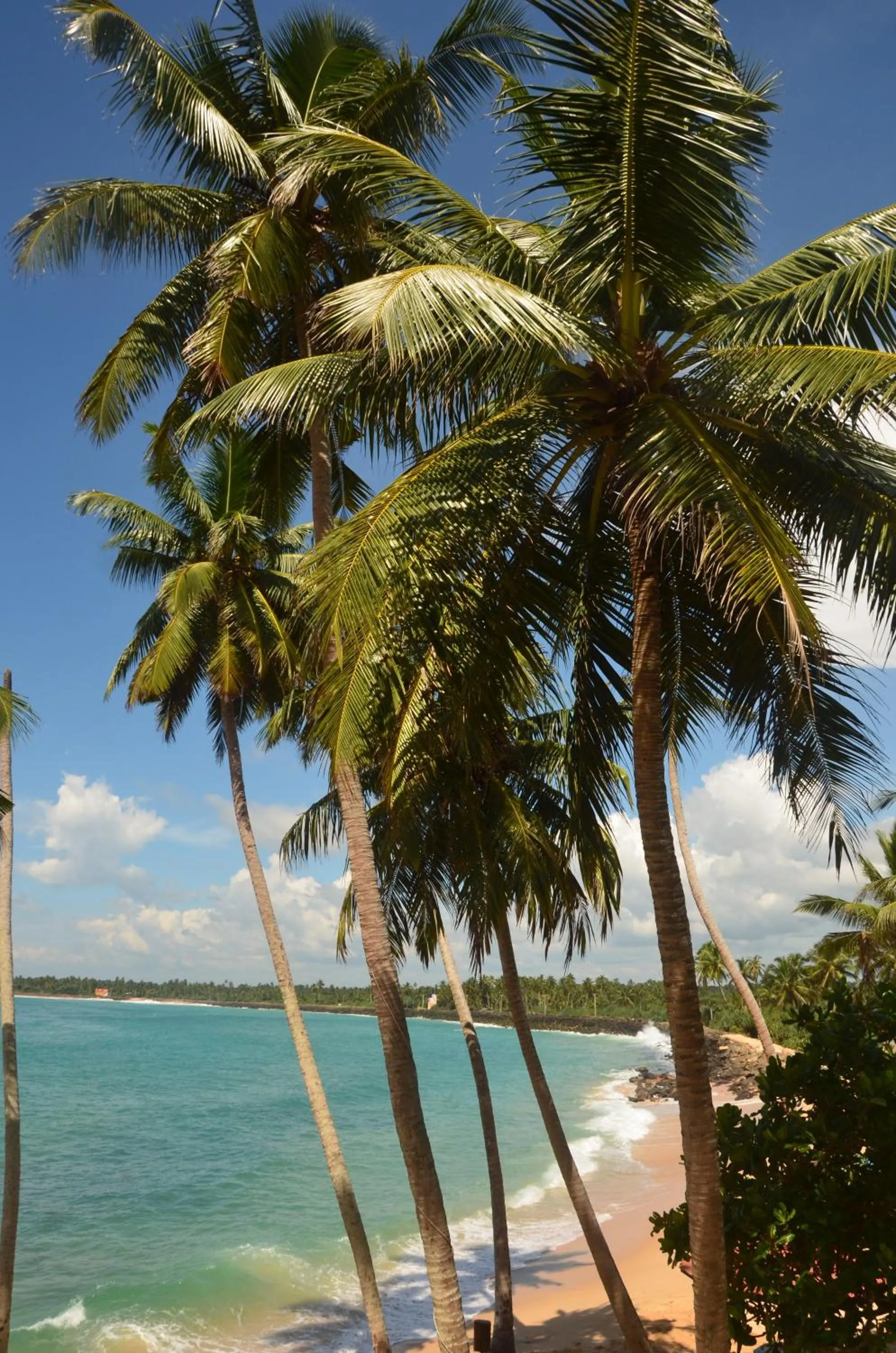 View (from property/room) in Cool Beach Hotel