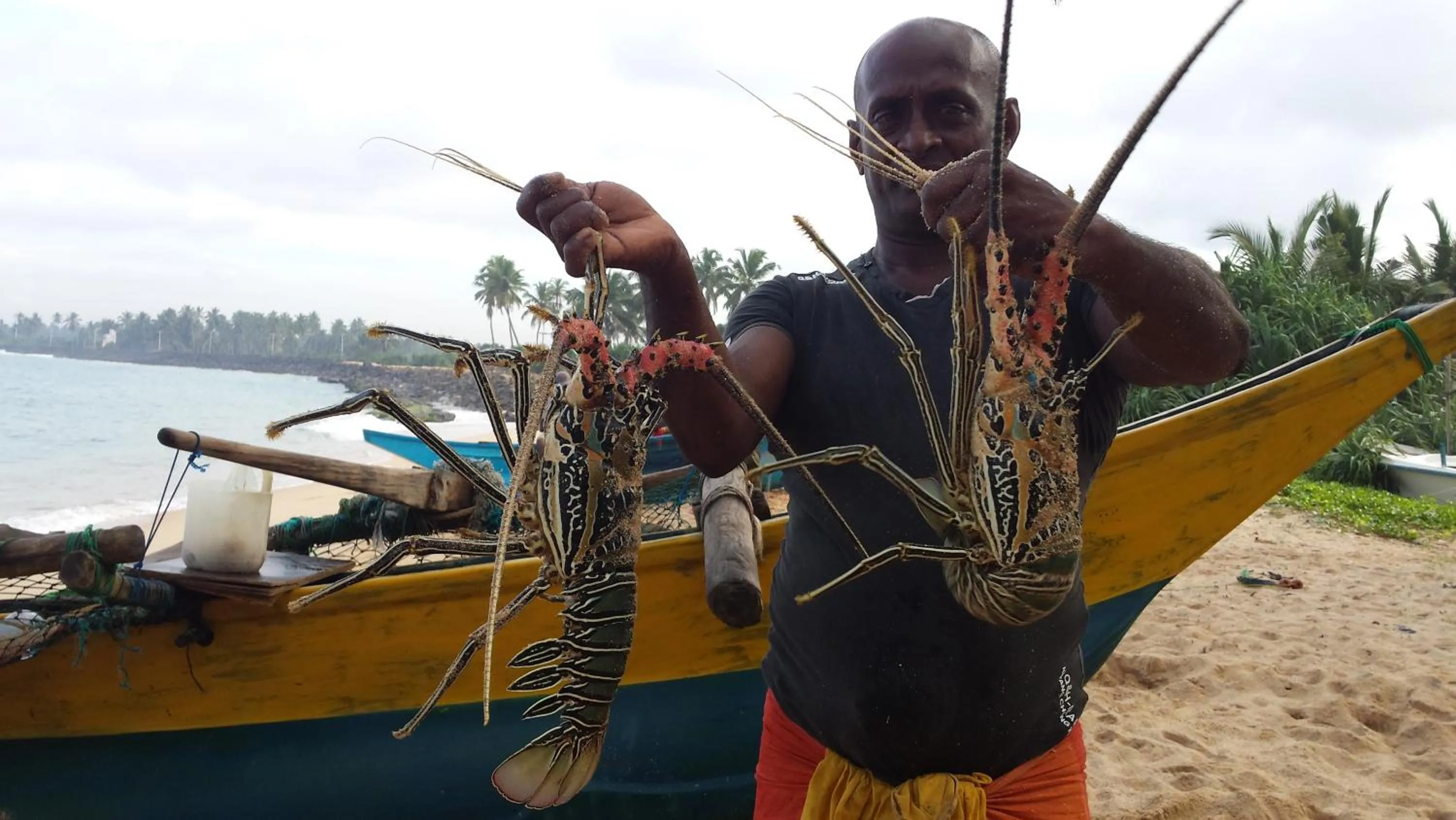 Fishing in Cool Beach Hotel