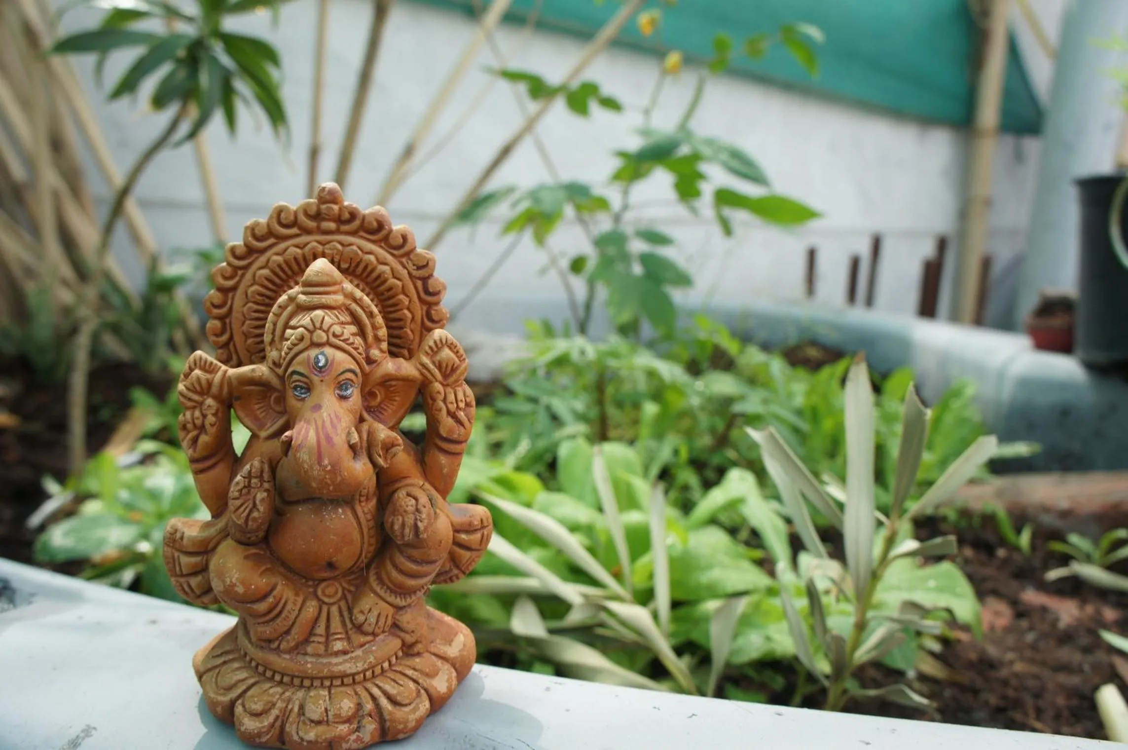 Balcony/Terrace in Bed & Chai Guesthouse
