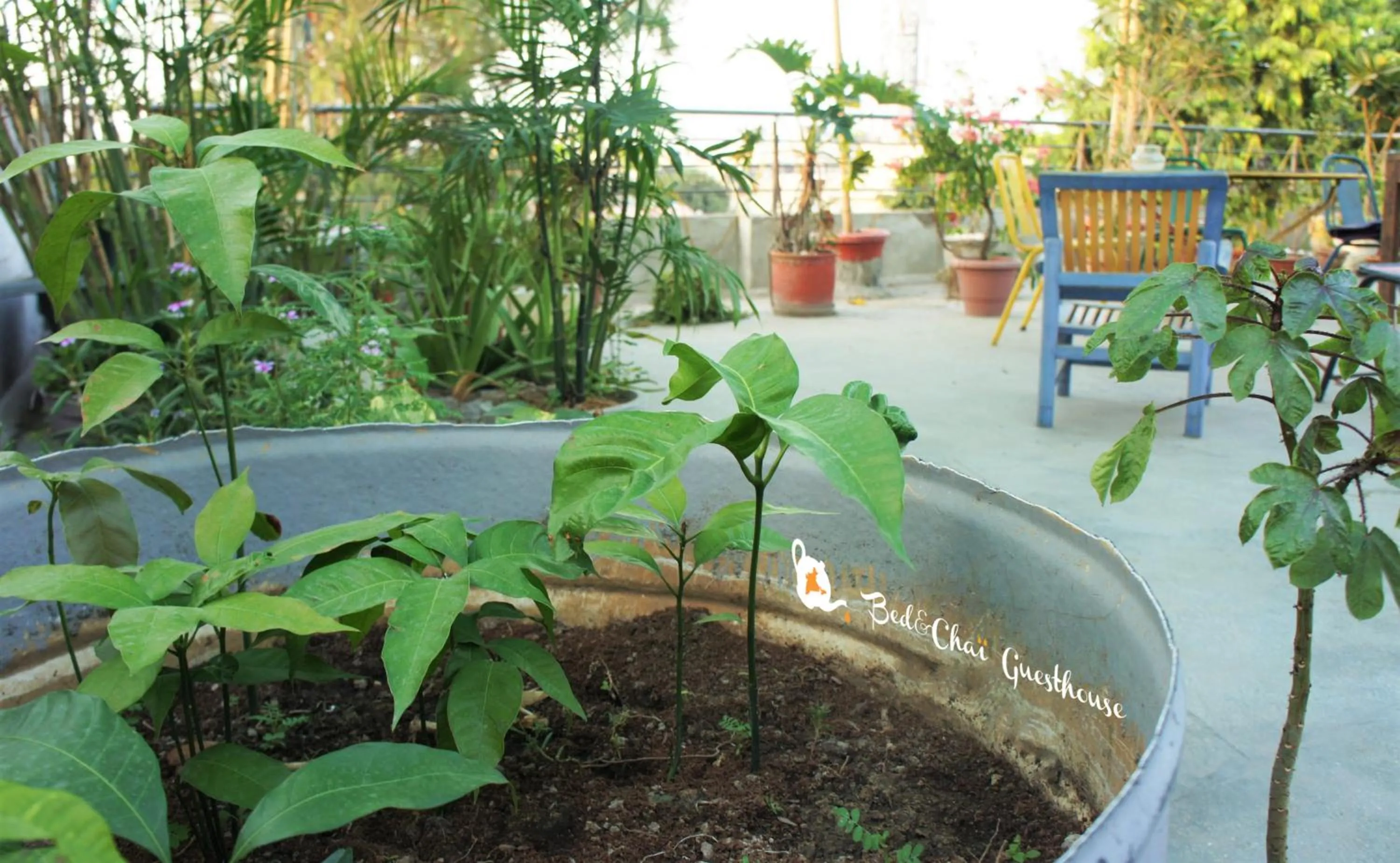 Balcony/Terrace in Bed & Chai Guesthouse