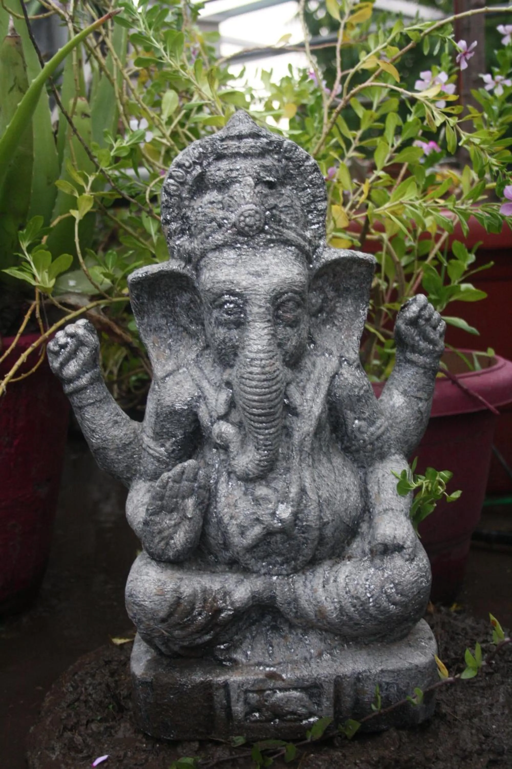 Garden in Bed & Chai Guesthouse