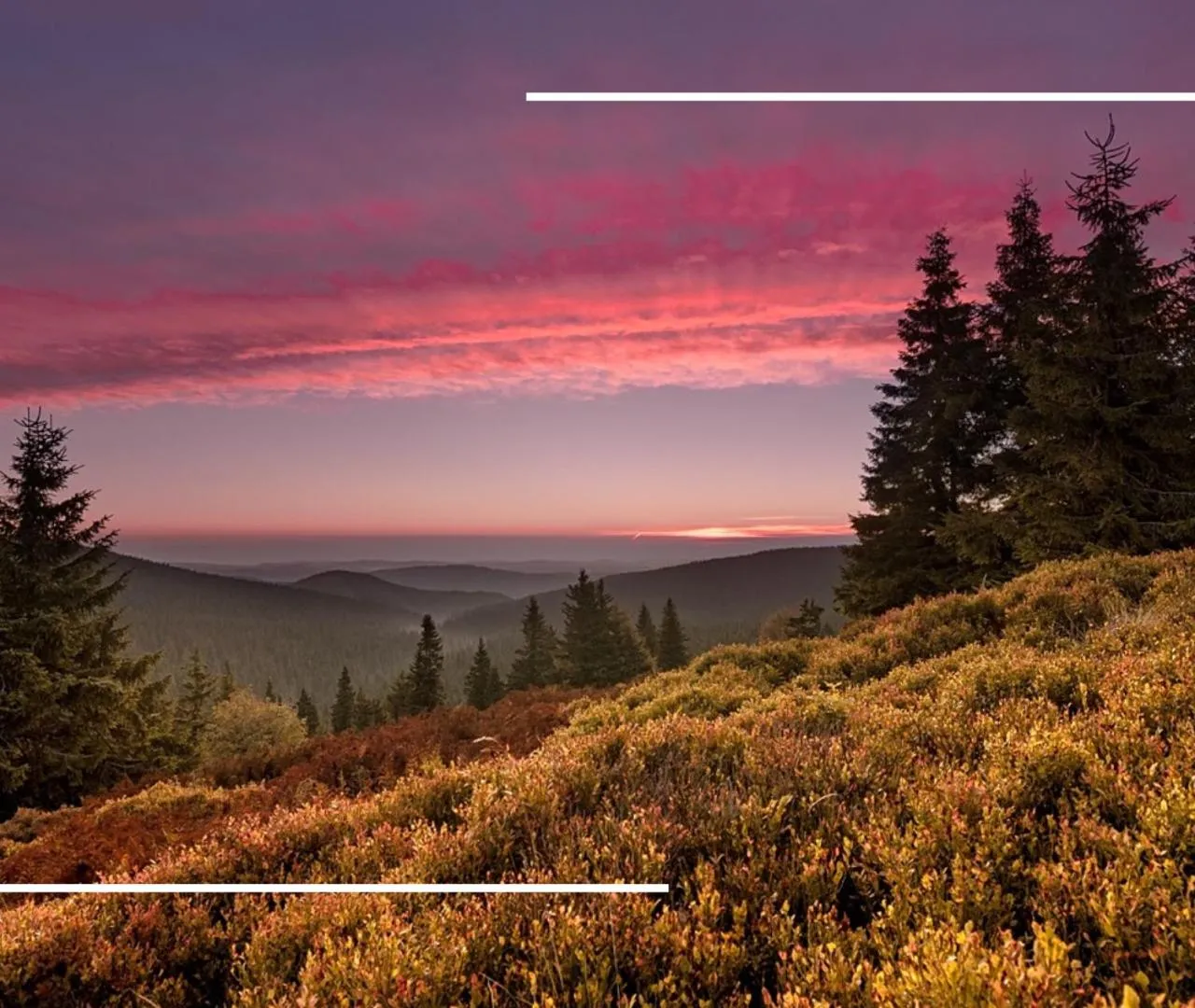 Natural landscape in Hotel Kamzík ***