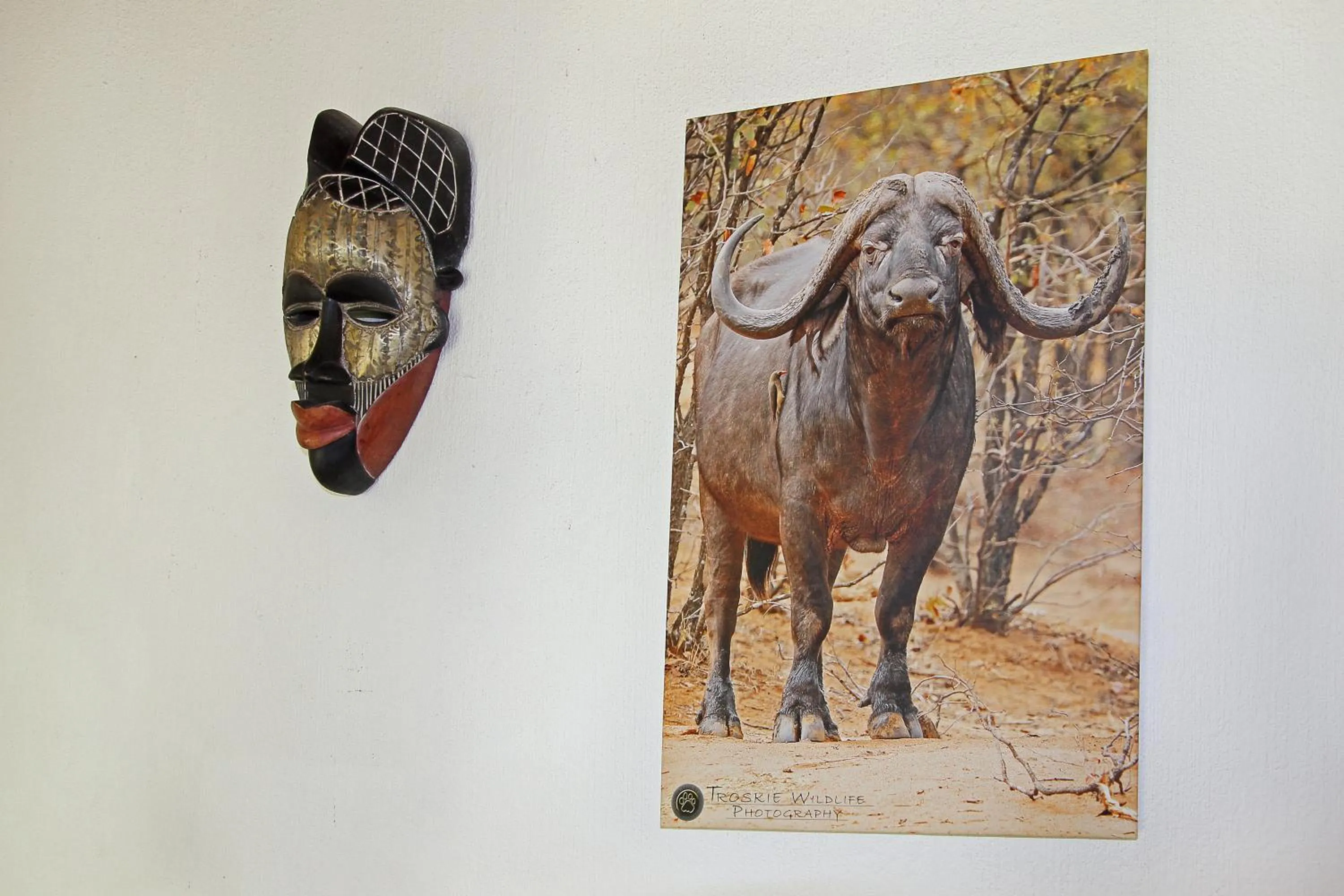 Decorative detail in Normann Safari Bush Lodge