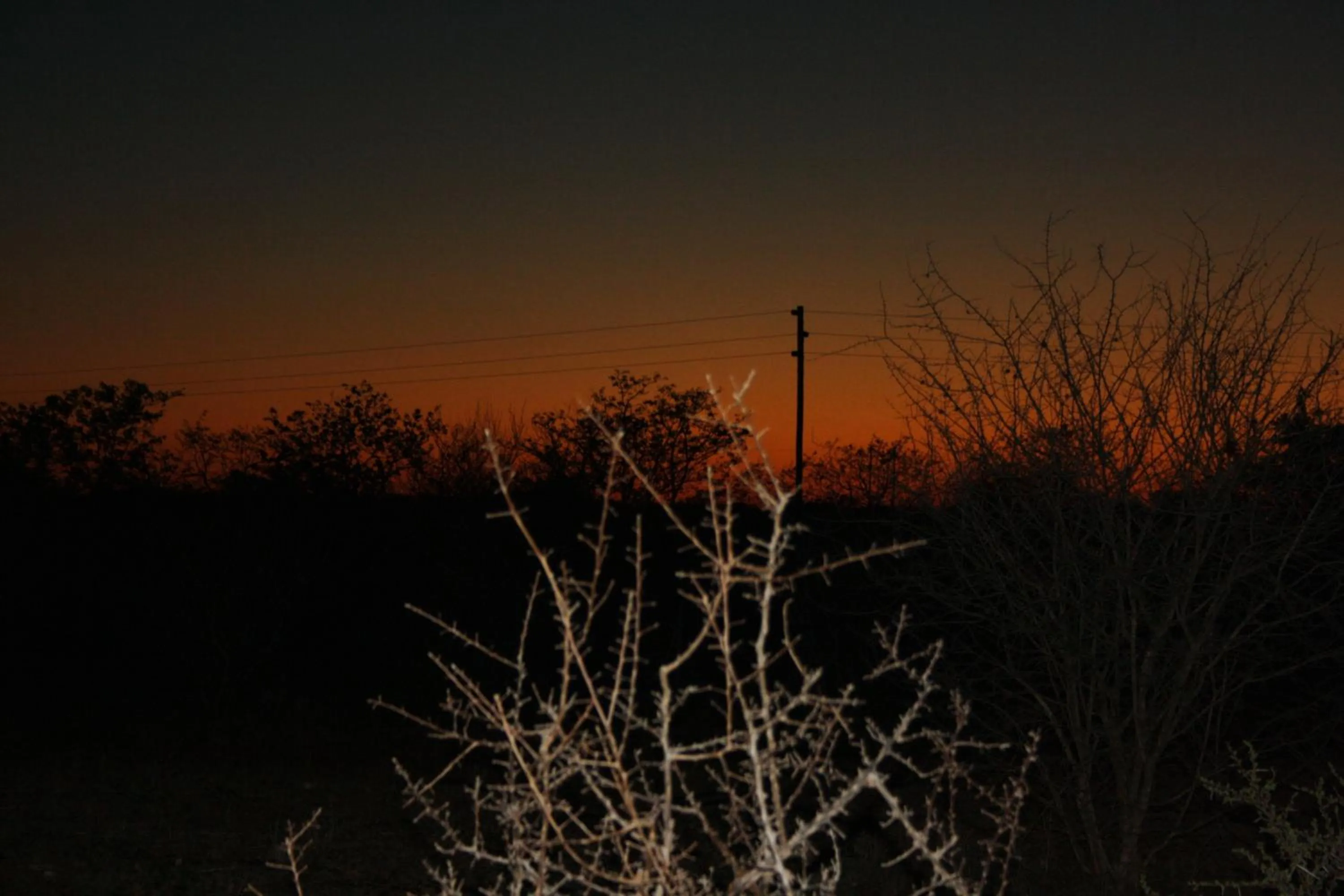 Activities in Normann Safari Bush Lodge