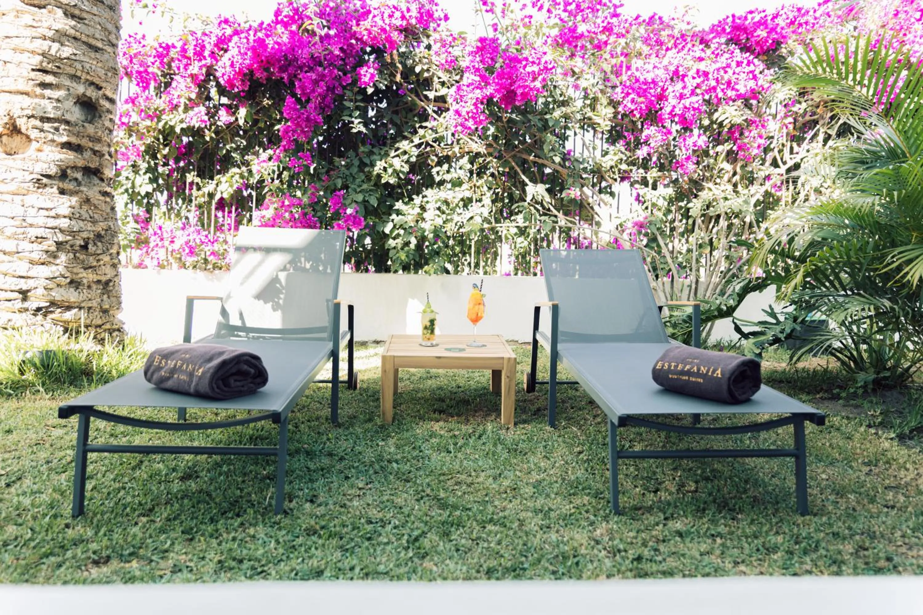 Garden in Hotel Estefania Boutique Suites