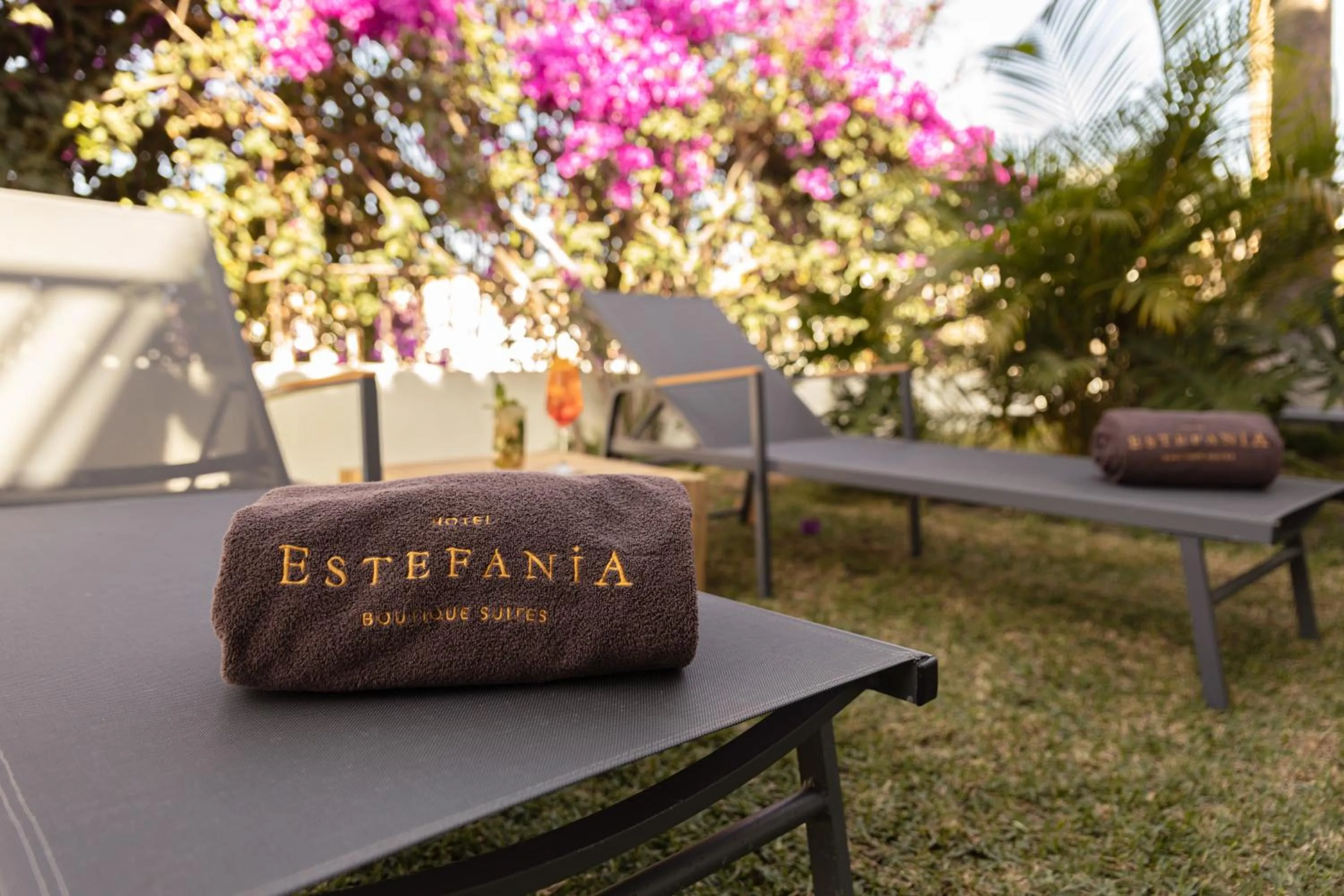 Garden in Hotel Estefania Boutique Suites