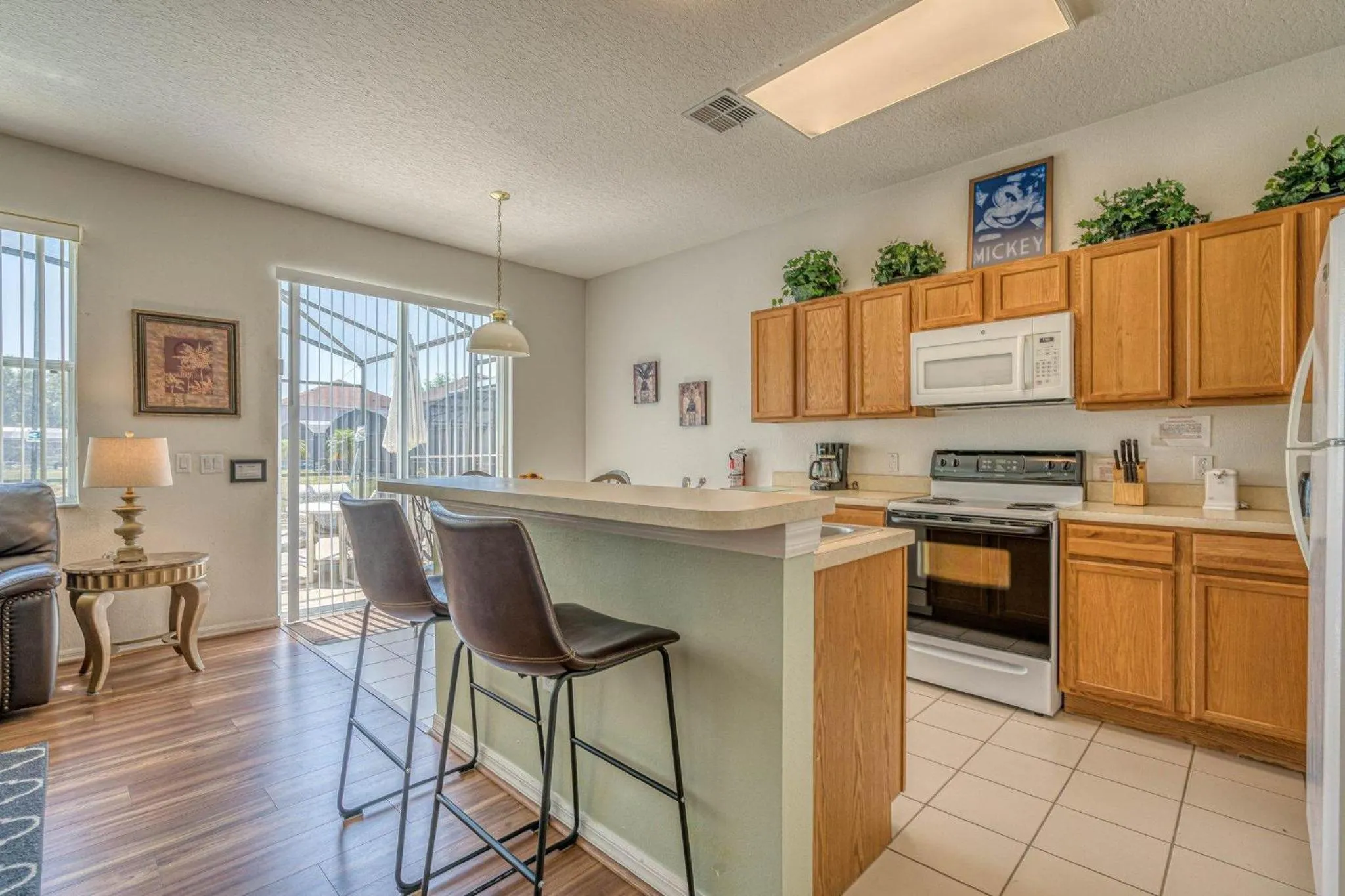 Mickey's Holiday Home