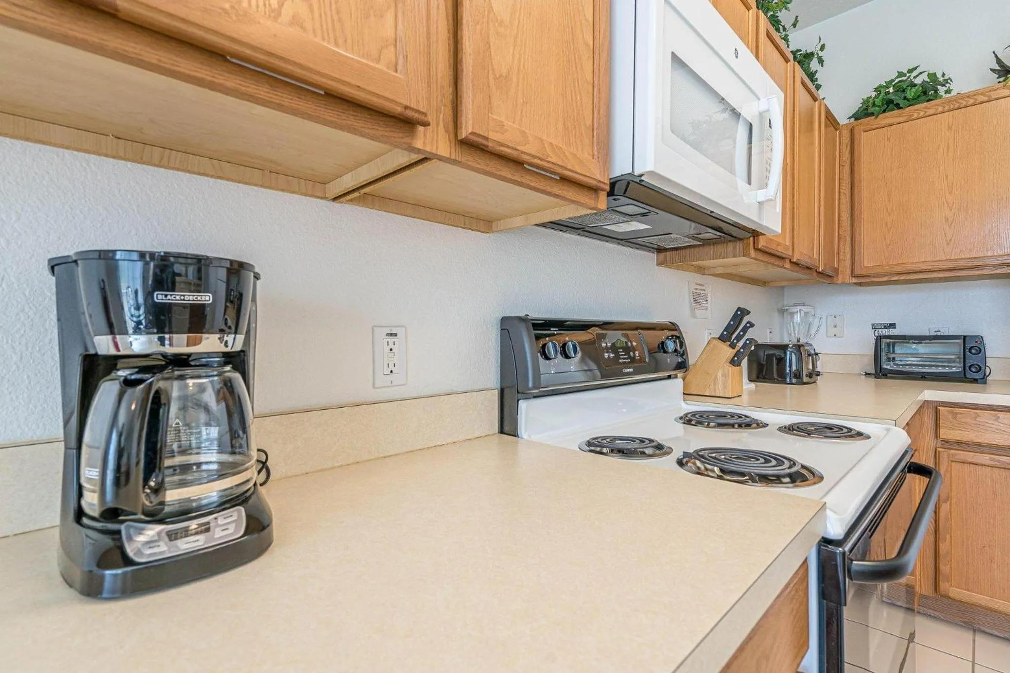 Mickey's Holiday Home