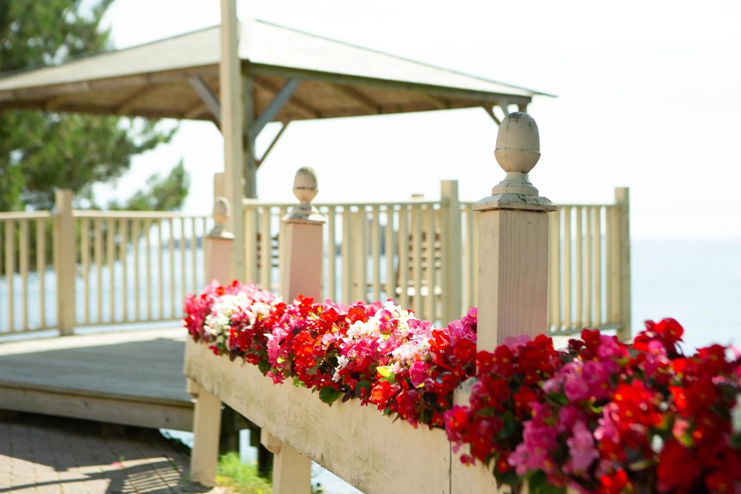 Balcony/Terrace in The Osborne Hotel