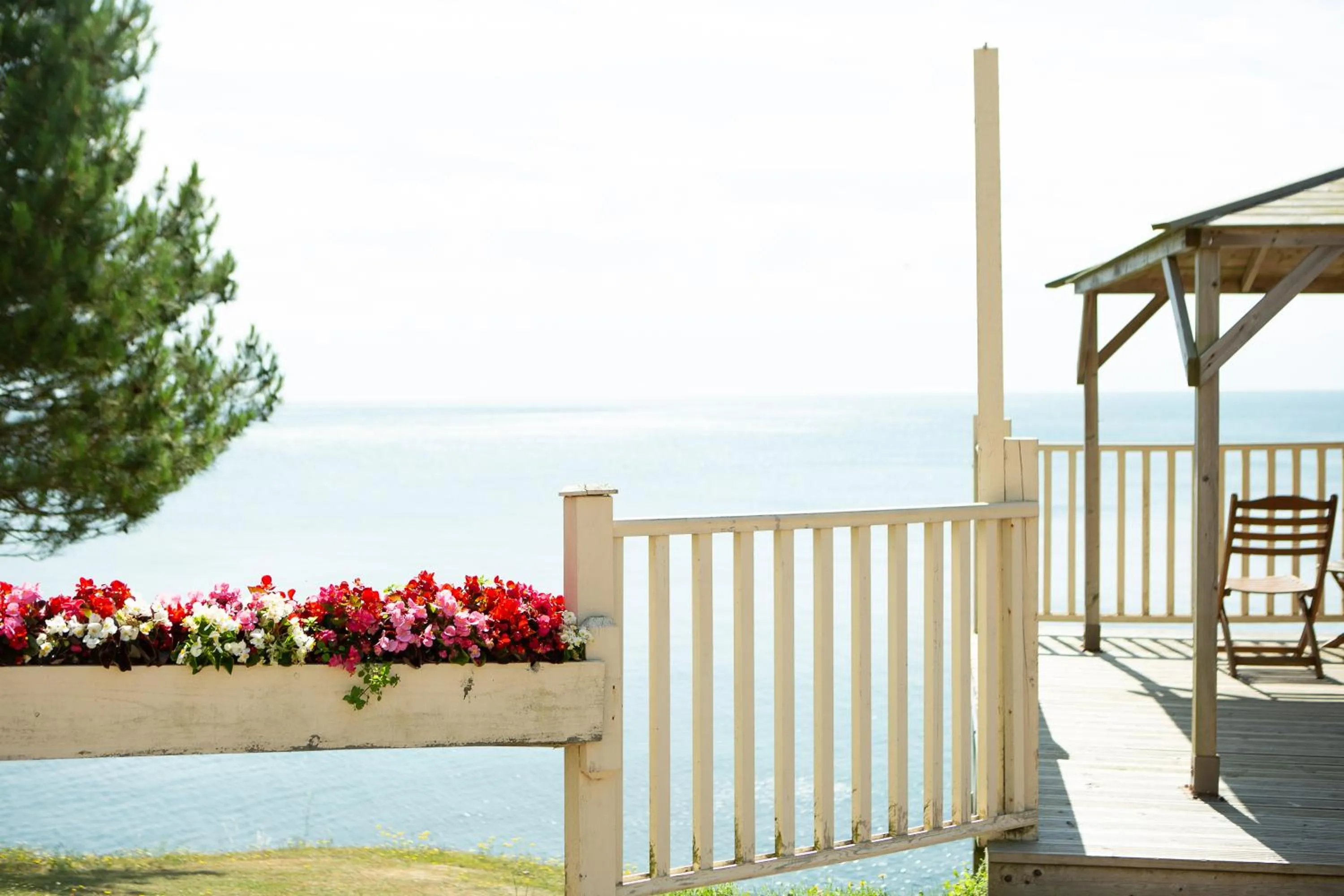 View (from property/room) in The Osborne Hotel