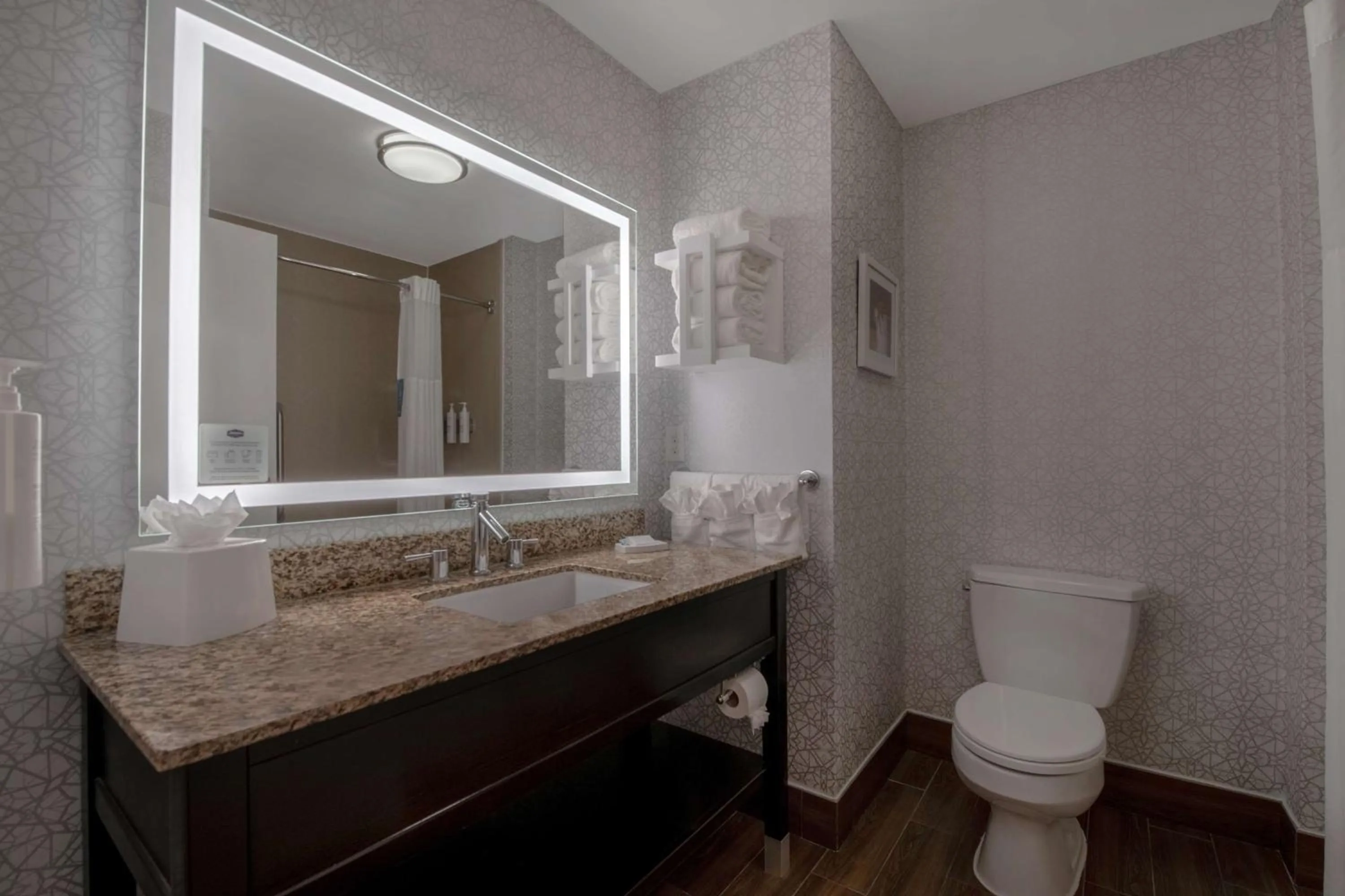 Bathroom in Hampton Inn & Suites Harvey New Orleans Westbank