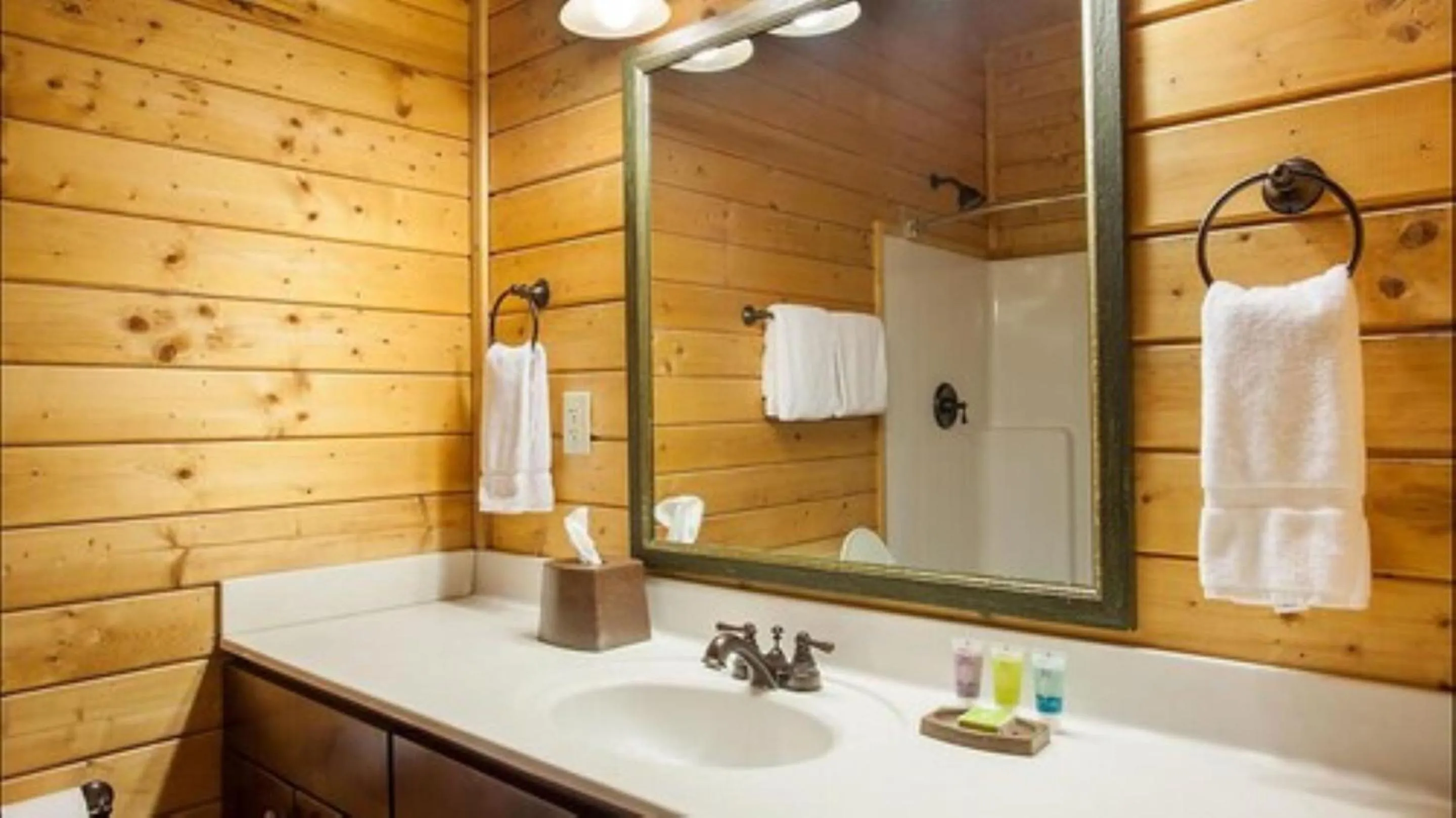 Bathroom in Shenandoah Wilderness Traveler