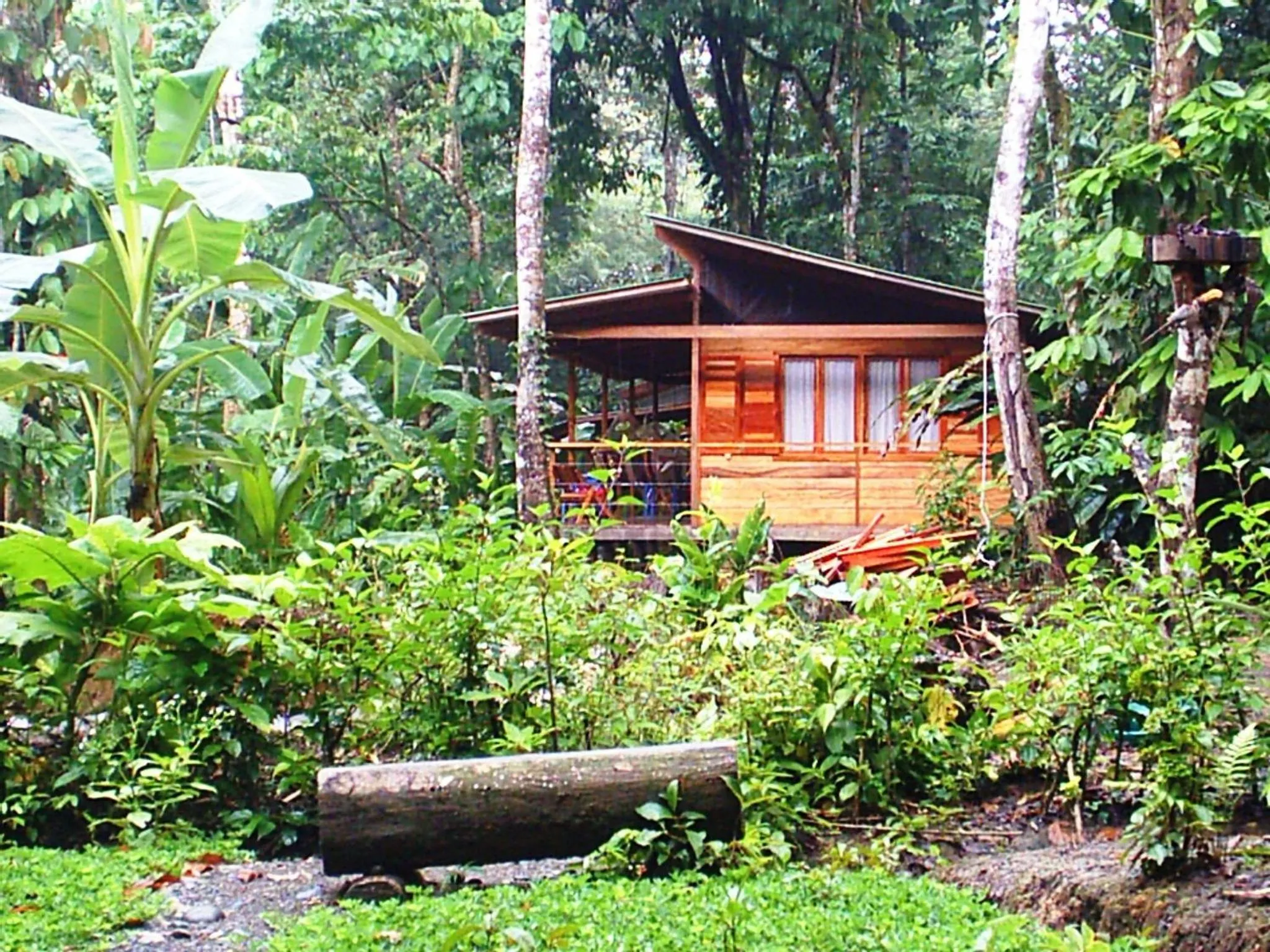 El Tucan Jungle Lodge