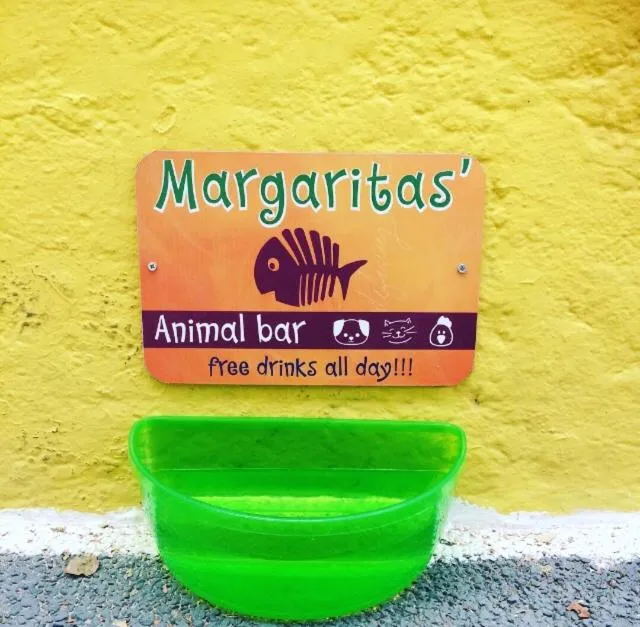 Viva Margarita