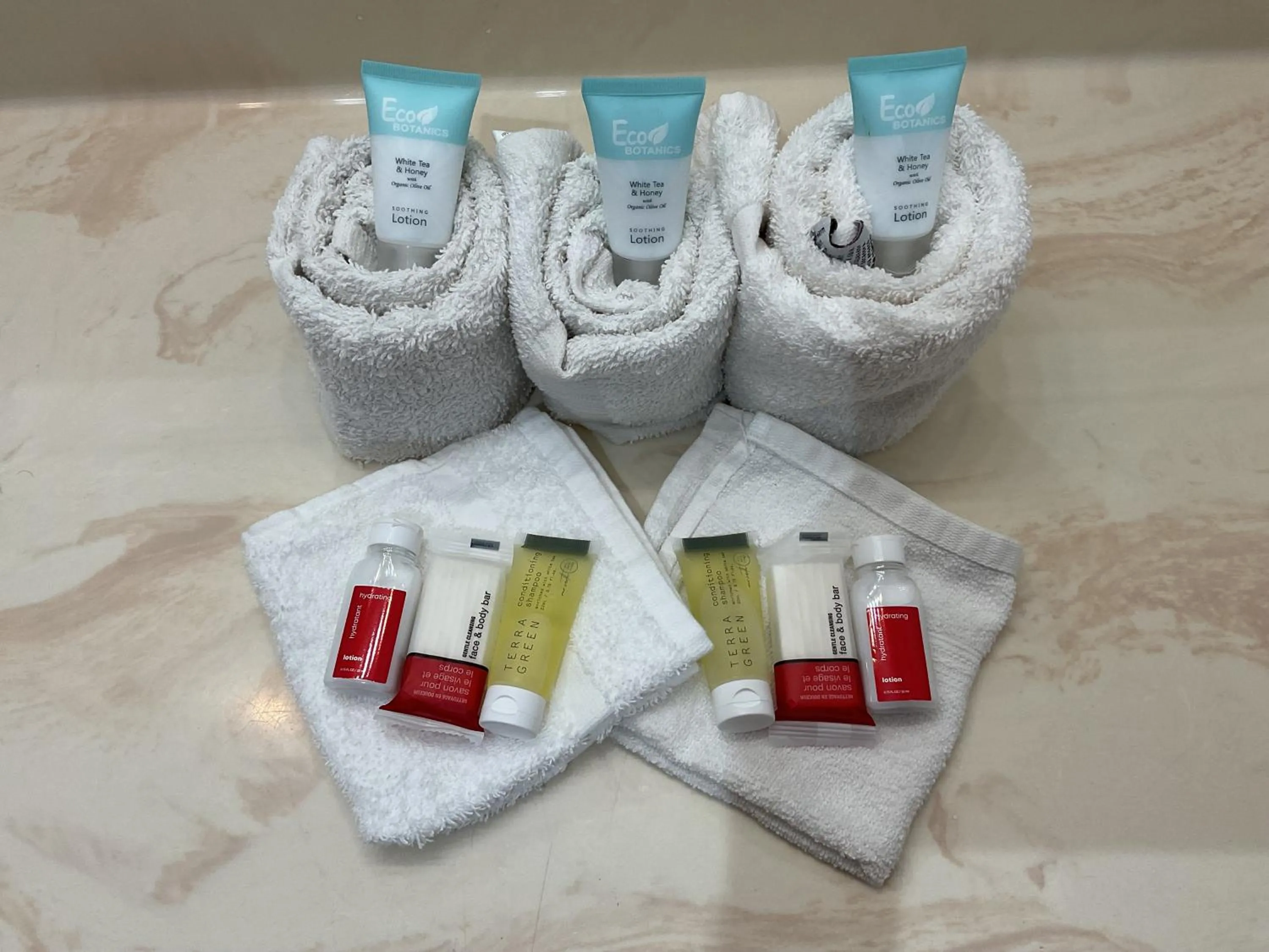 Bathroom in Budget Host Inn