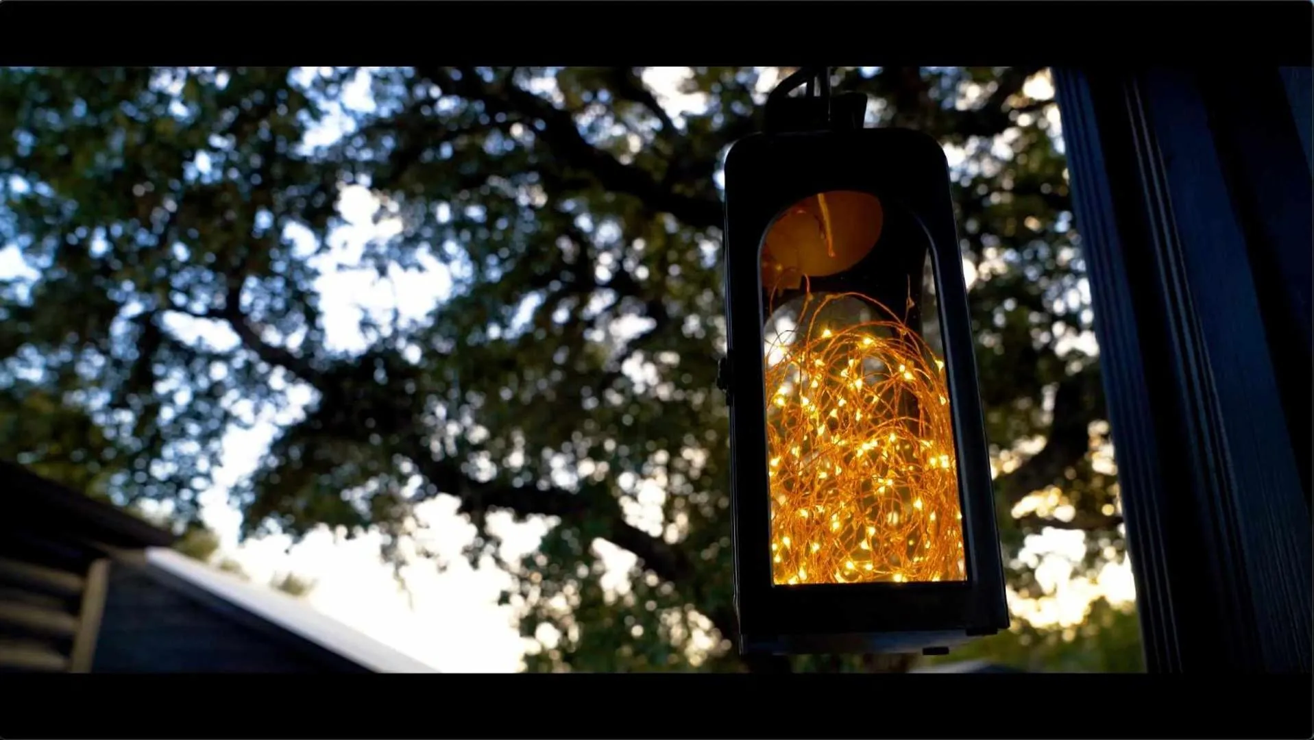 Decorative detail in Starlight Horizon