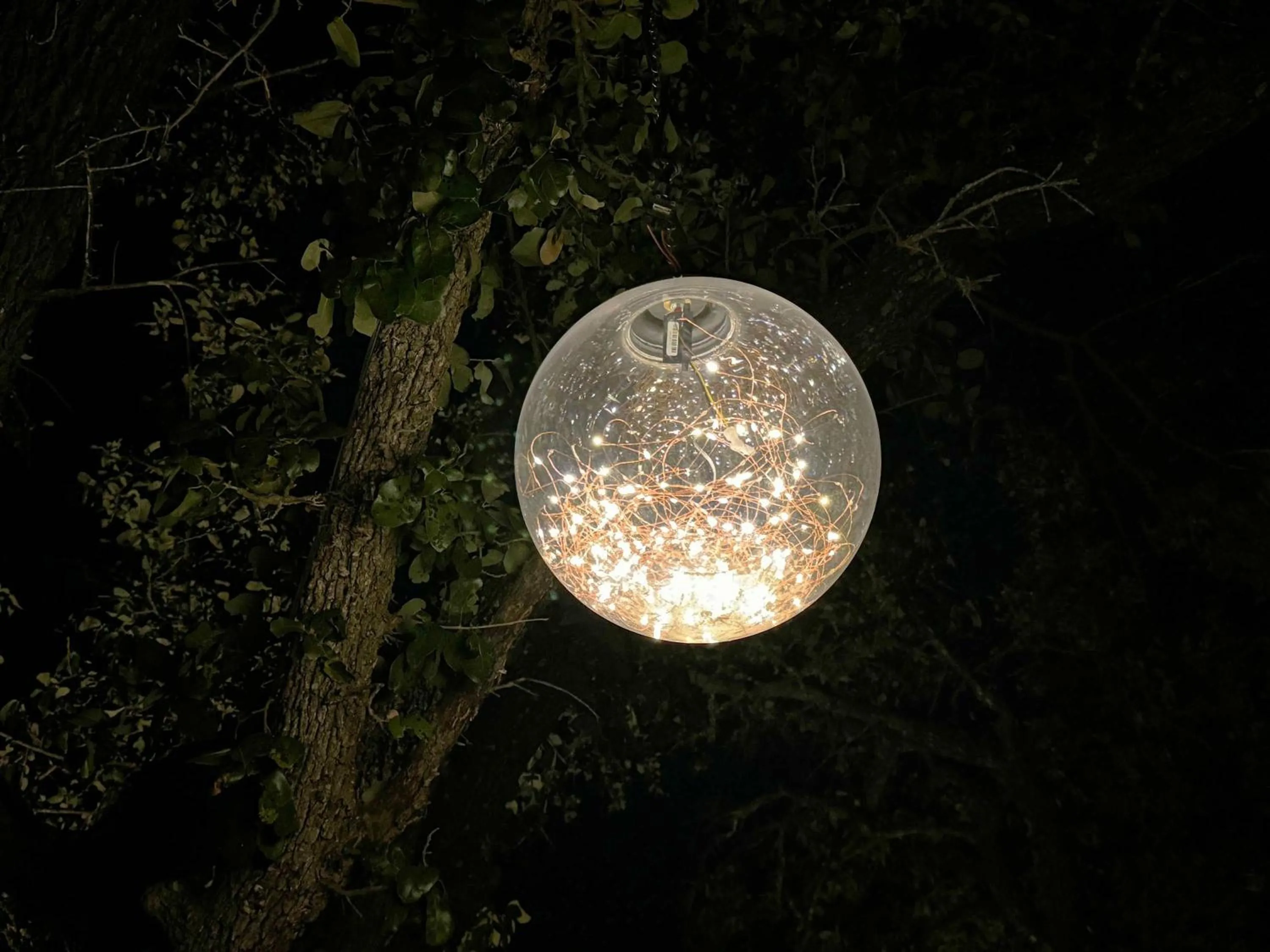 Night in Starlight Horizon