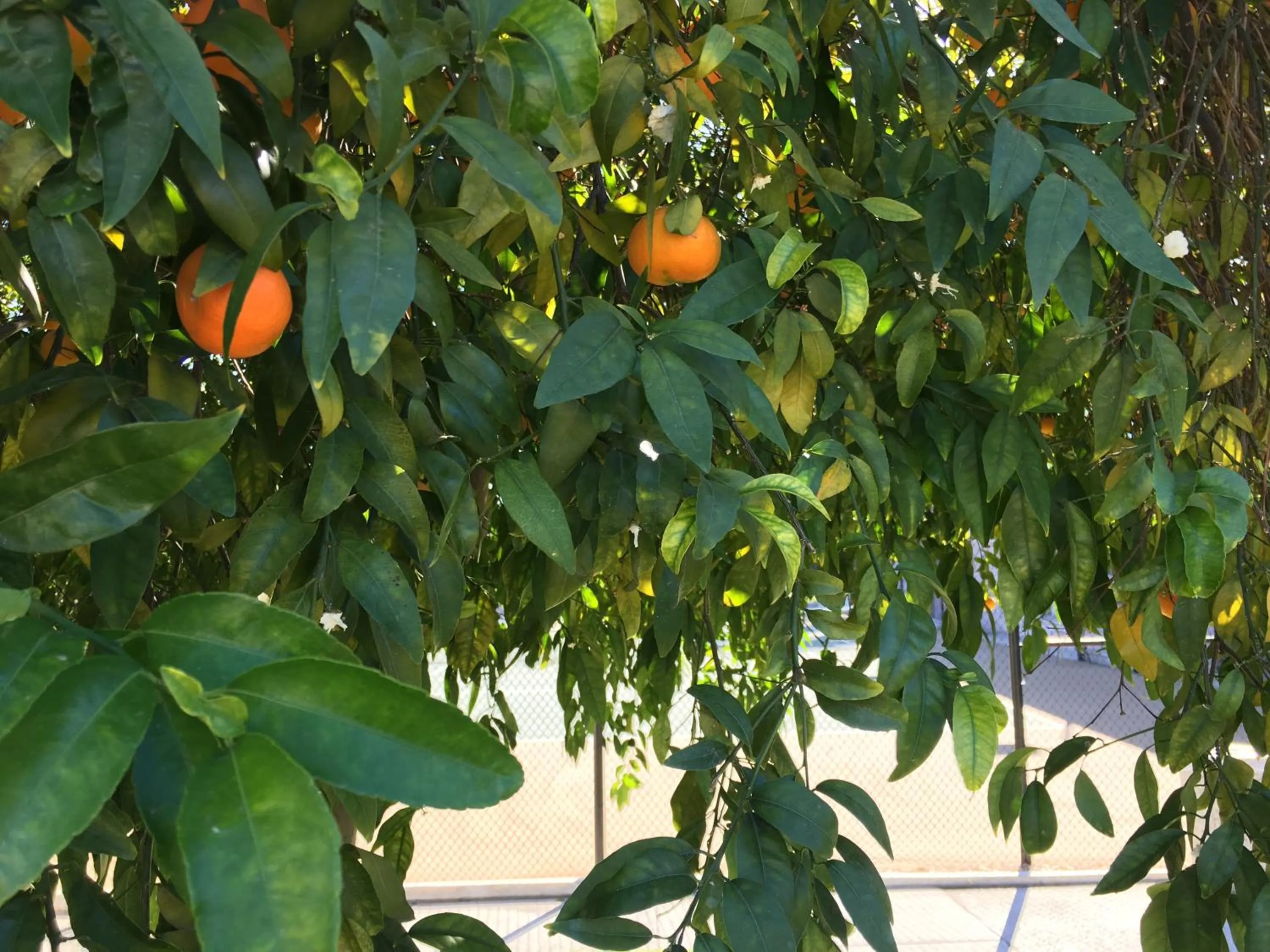 GetAways at Vista Mirage Resort