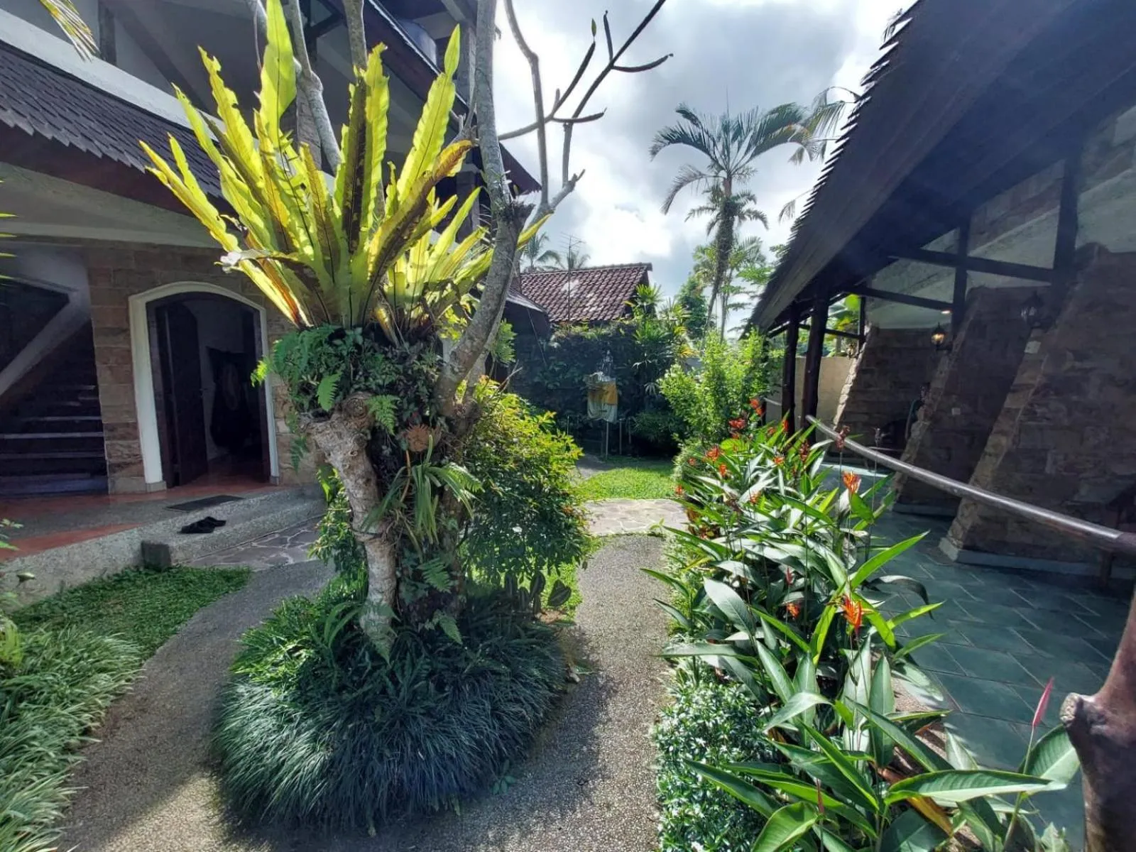 View (from property/room) in Dzawani Ubud