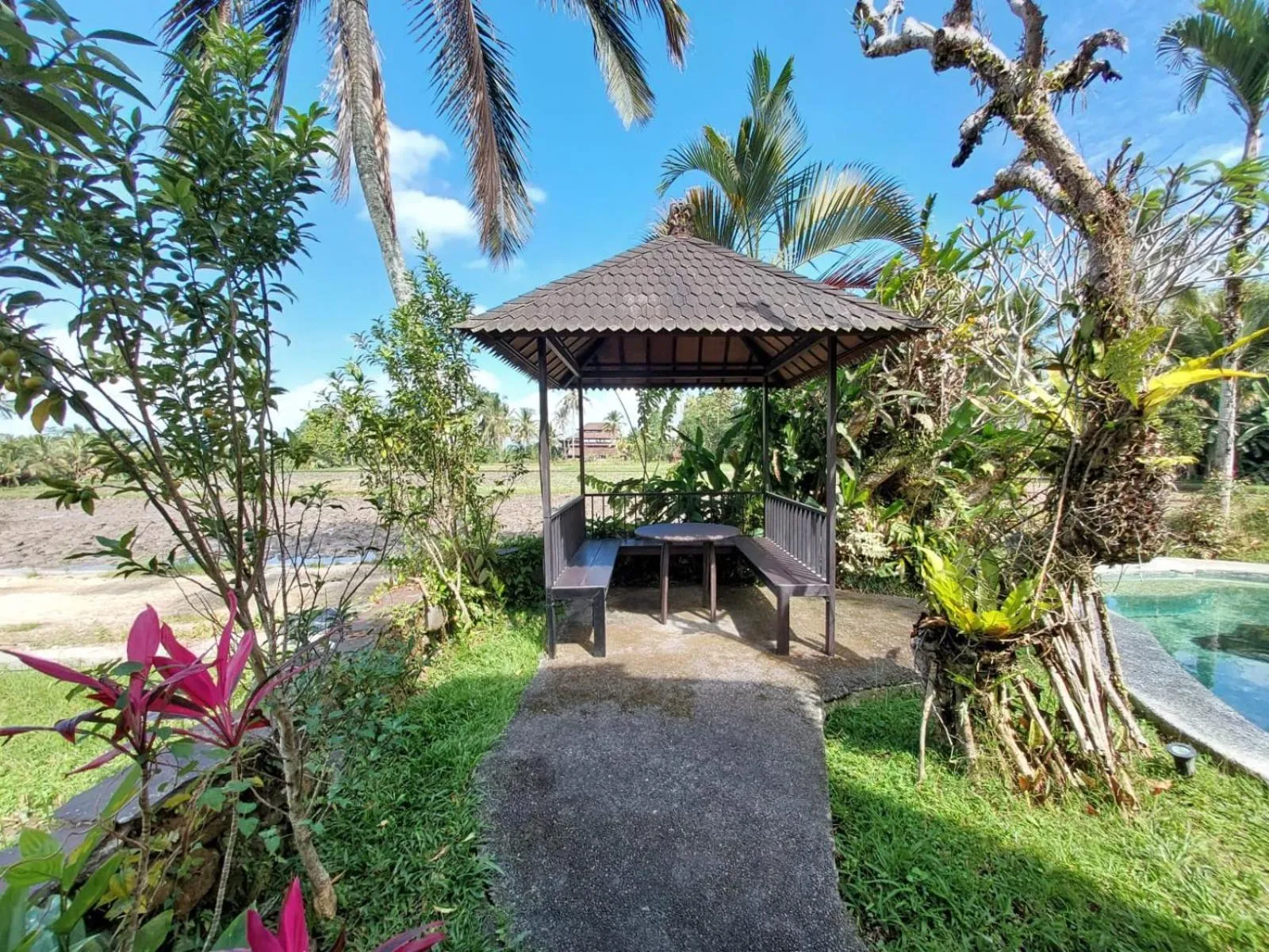 View (from property/room) in Dzawani Ubud