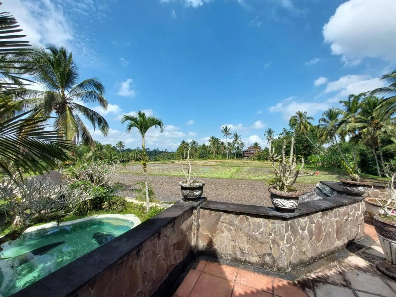 View (from property/room) in Dzawani Ubud