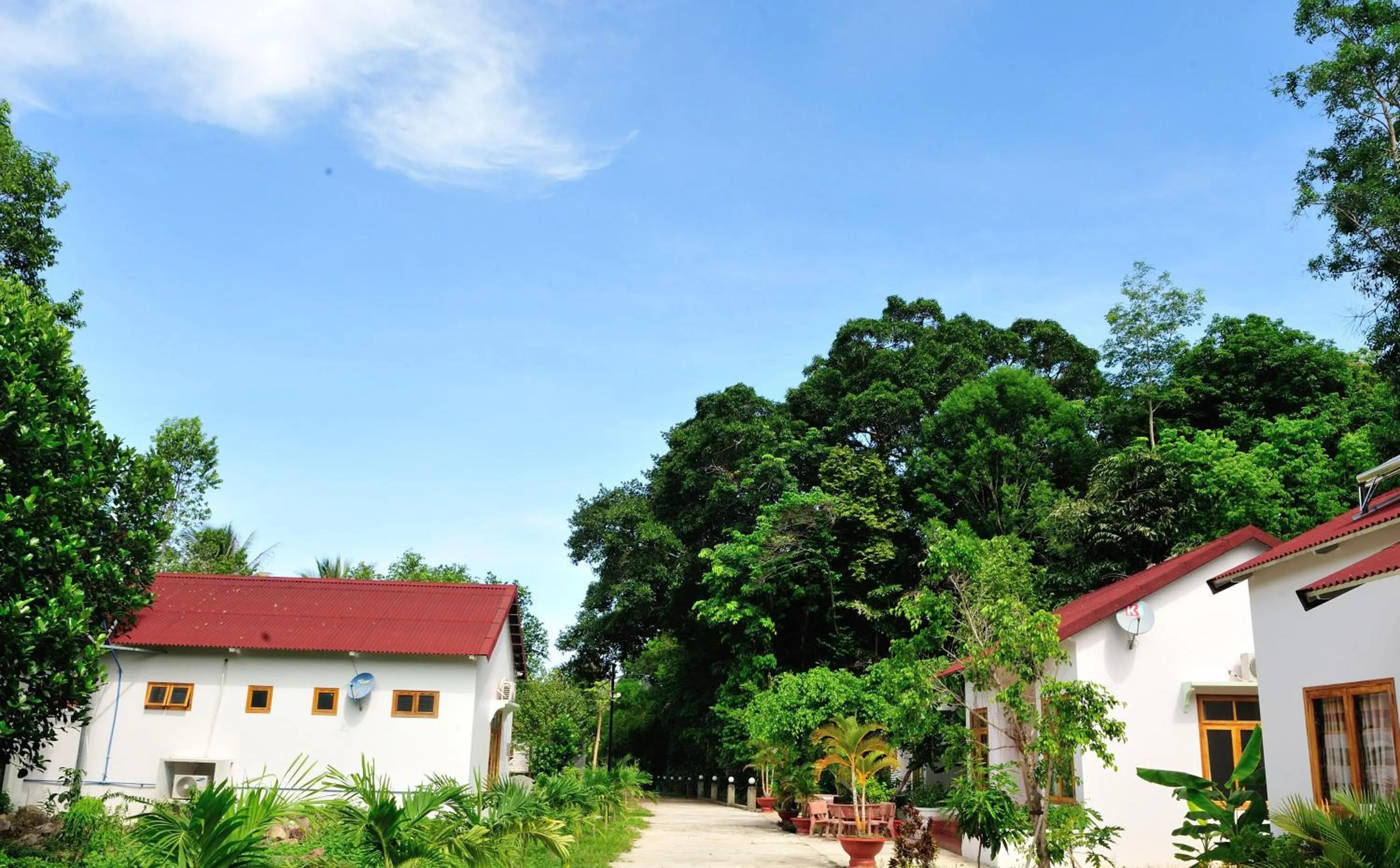 Property building in Tang Thanh Phat Resort