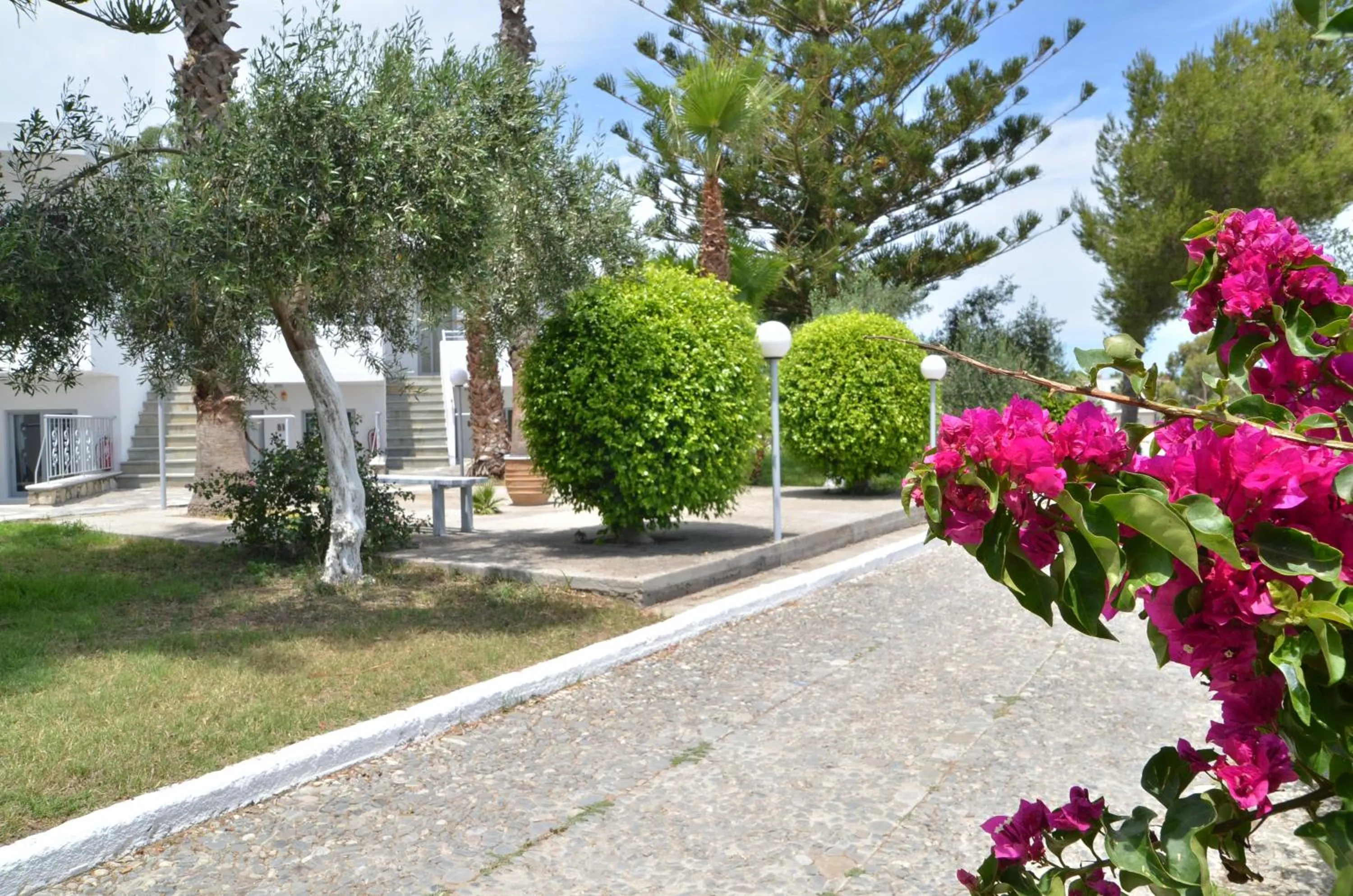 Garden in Blue Nest Hotel