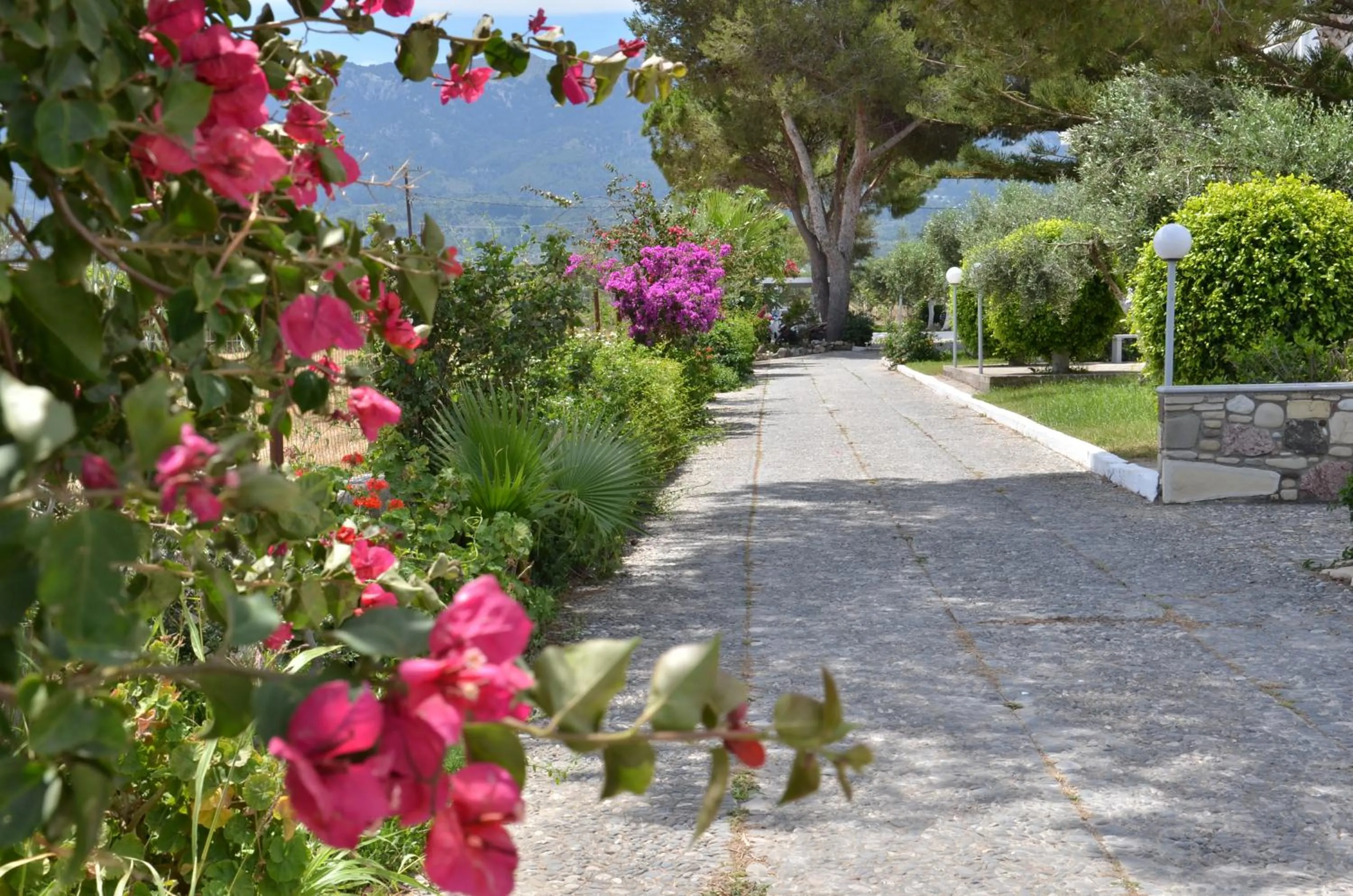 Garden in Blue Nest Hotel