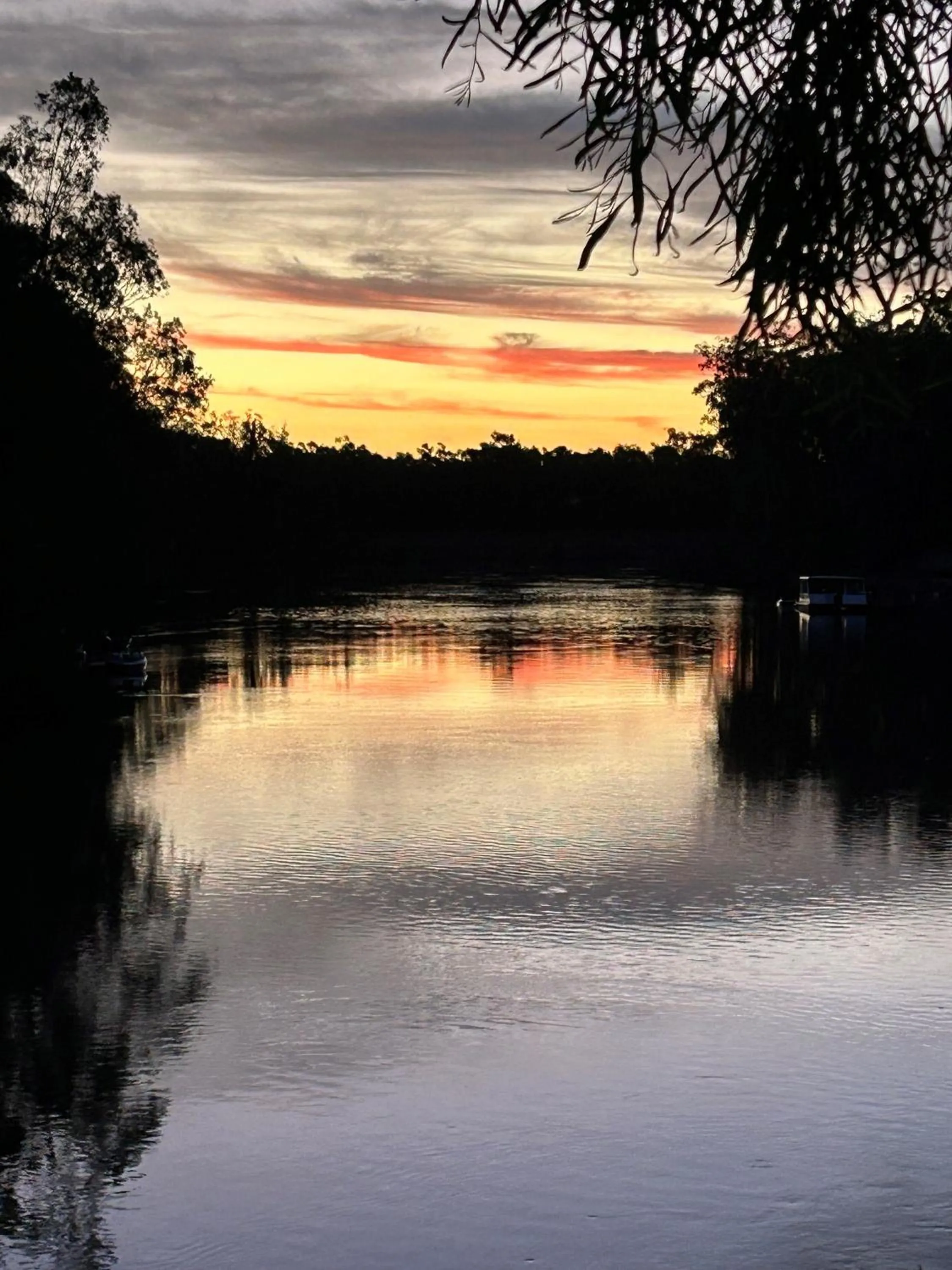 River view in Murray River Resort
